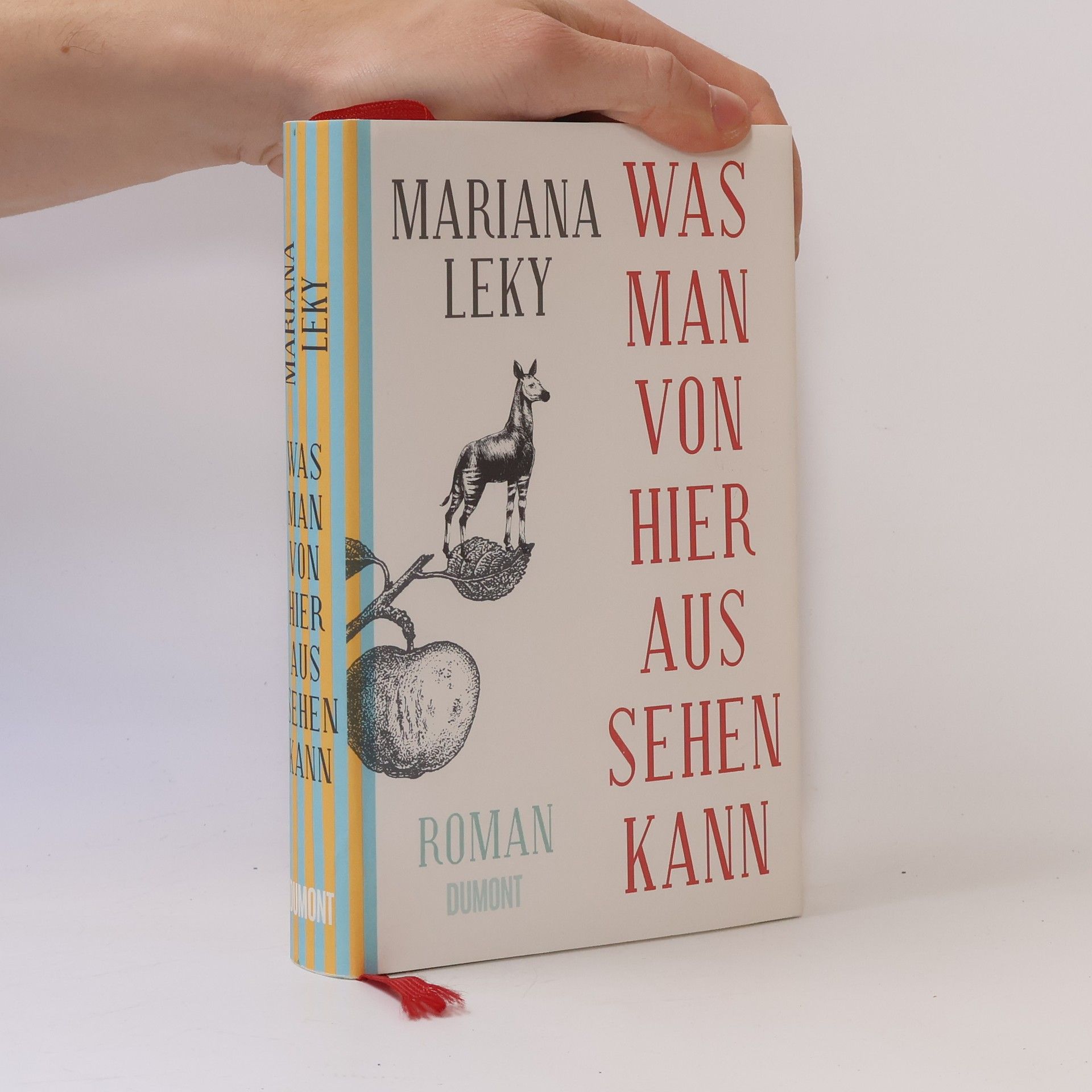 Mariana Leky Was man von hier aus sehen kann