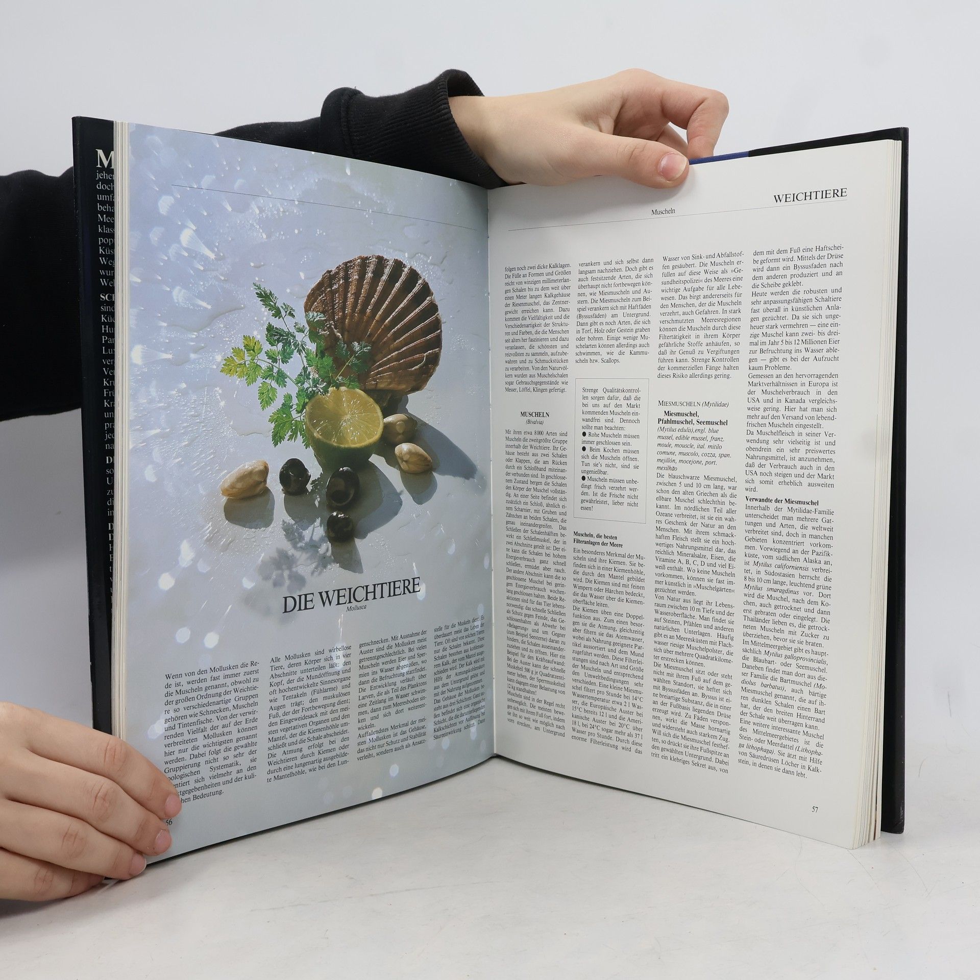 Anton Mosimann Das grosse Buch der Meeresfrüchte