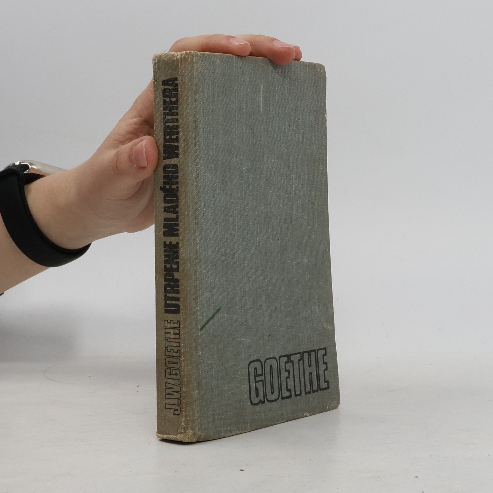 Johann Wolfgang von Goethe Utrpenie mladého Werthera