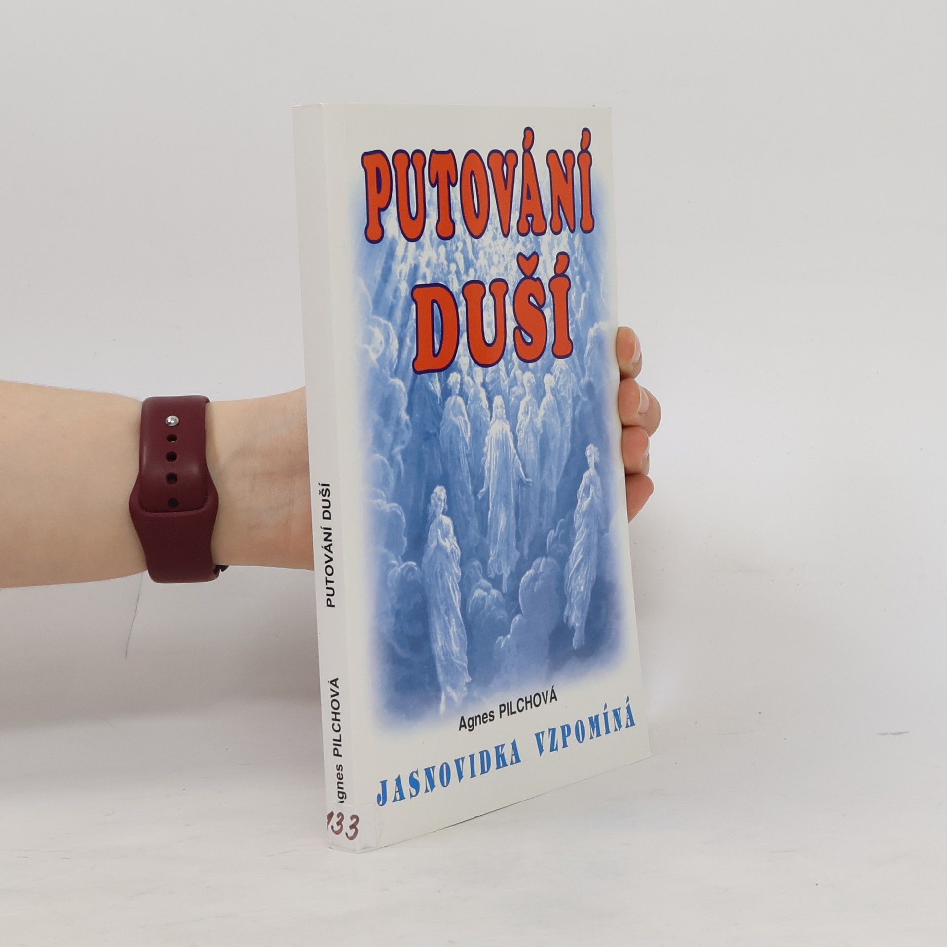 Agnes Pilch Putování duší