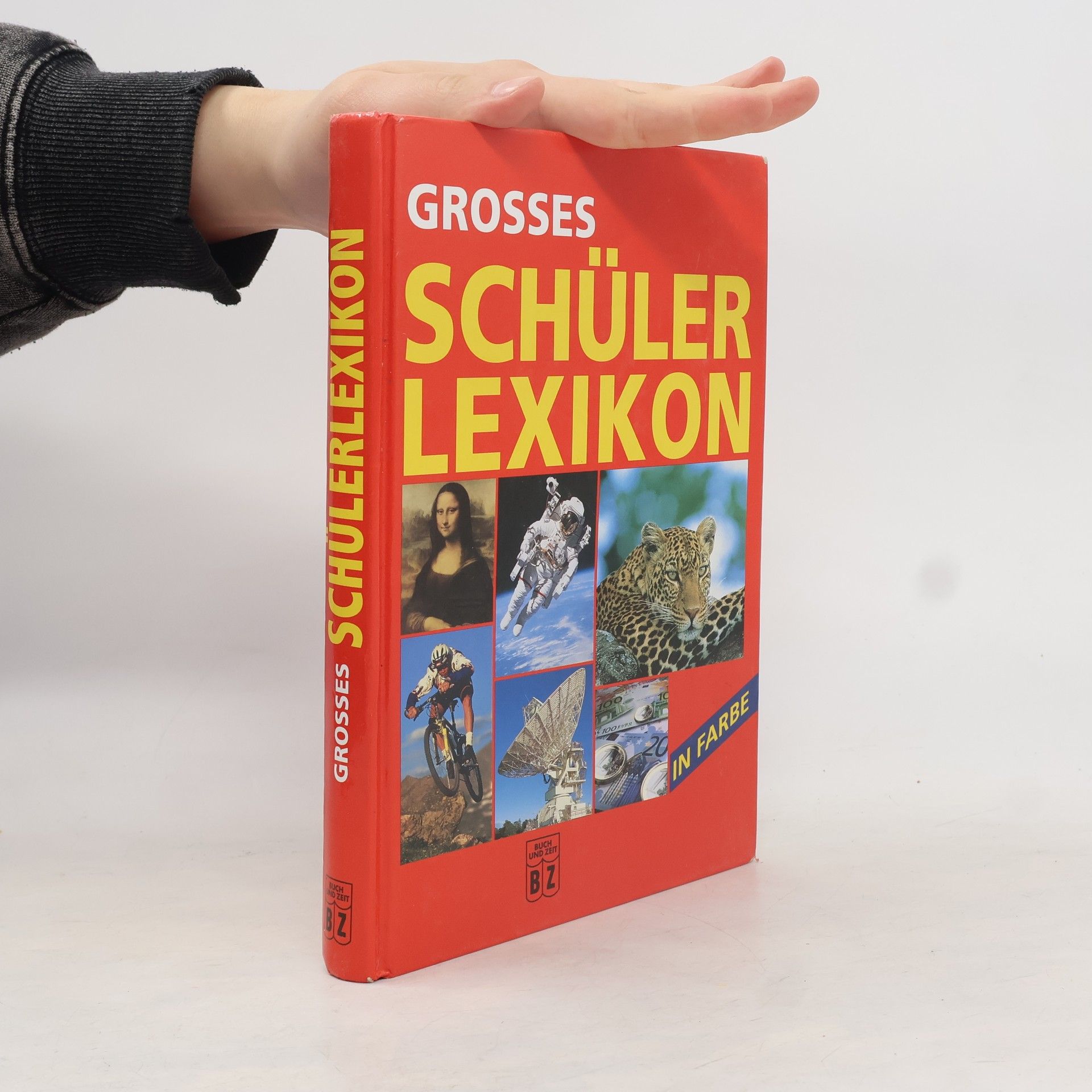 Autorenkollektiv Großes Schülerlexikon in Farbe