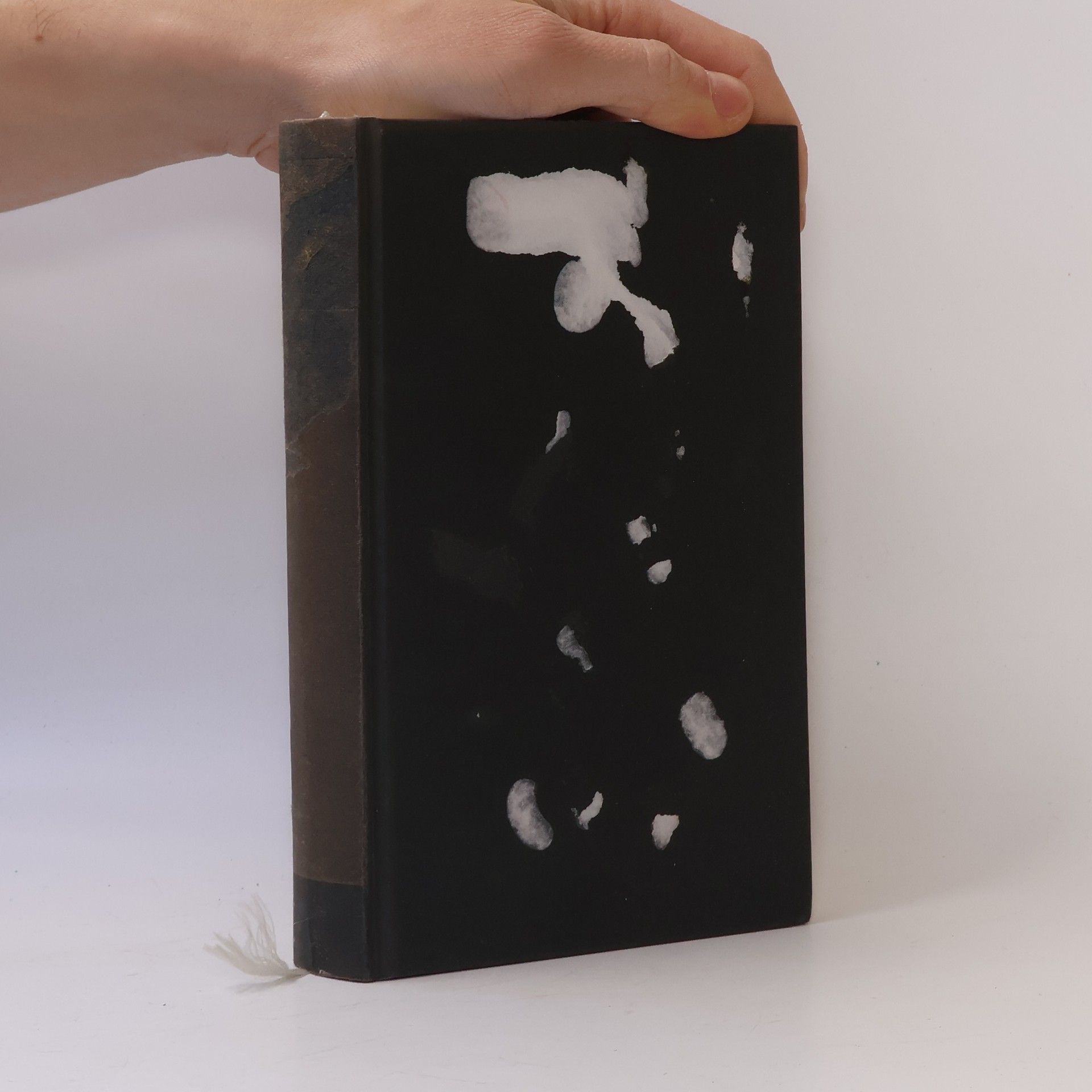 Juan Gabriel Vásquez Das Geräusch der Dinge beim Fallen