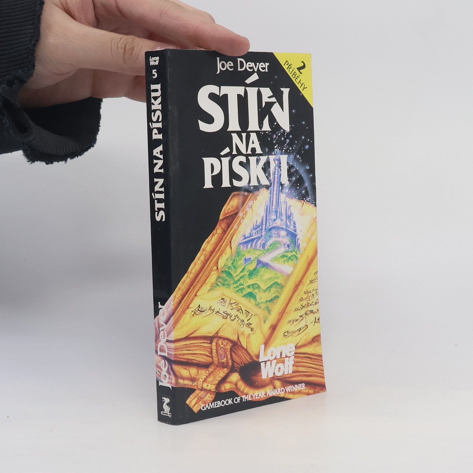 Joe Dever Stín na písku