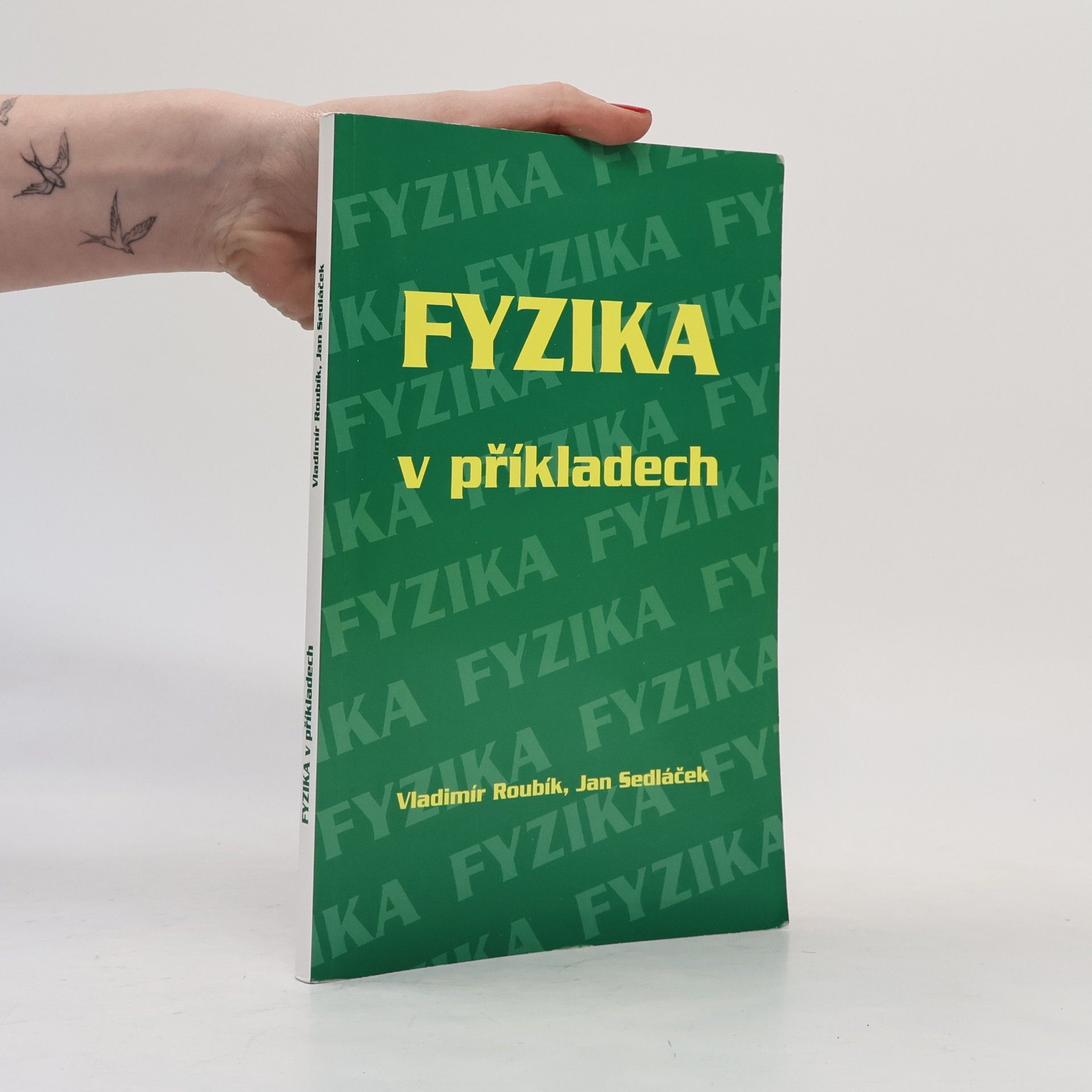 Vladimír Roubík Fyzika v příkladech