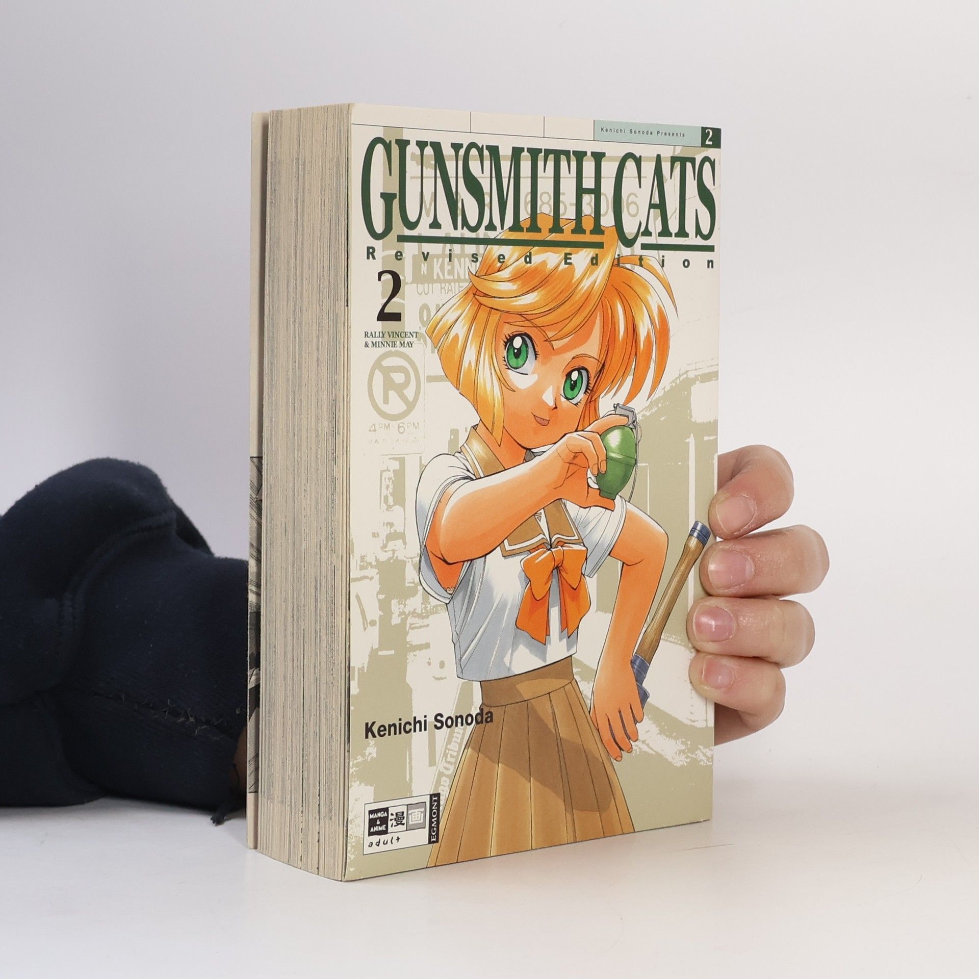 Kenichi Sonoda Gunsmith cats 2