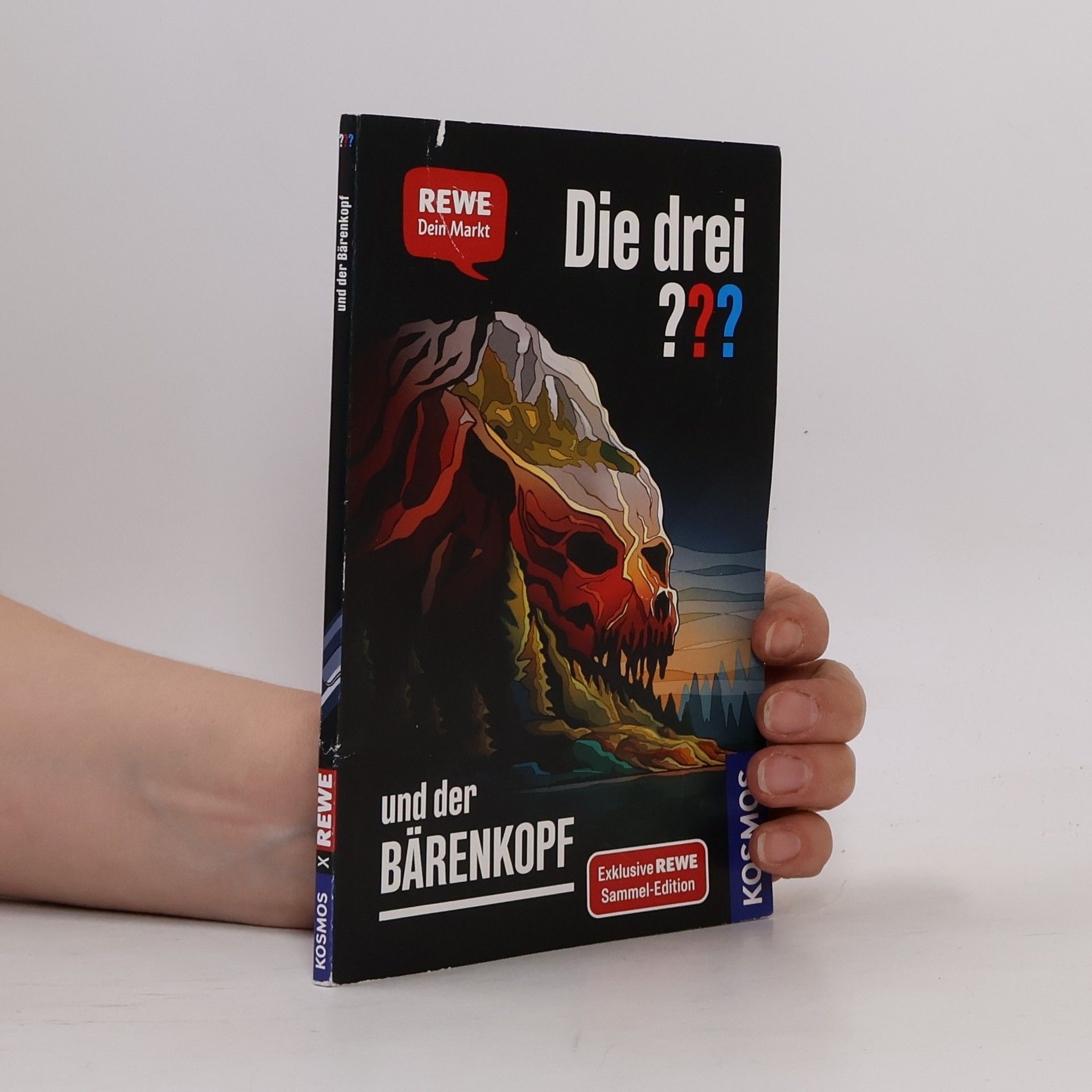Andreas Ruch Die drei ??? und der Bärenkopf