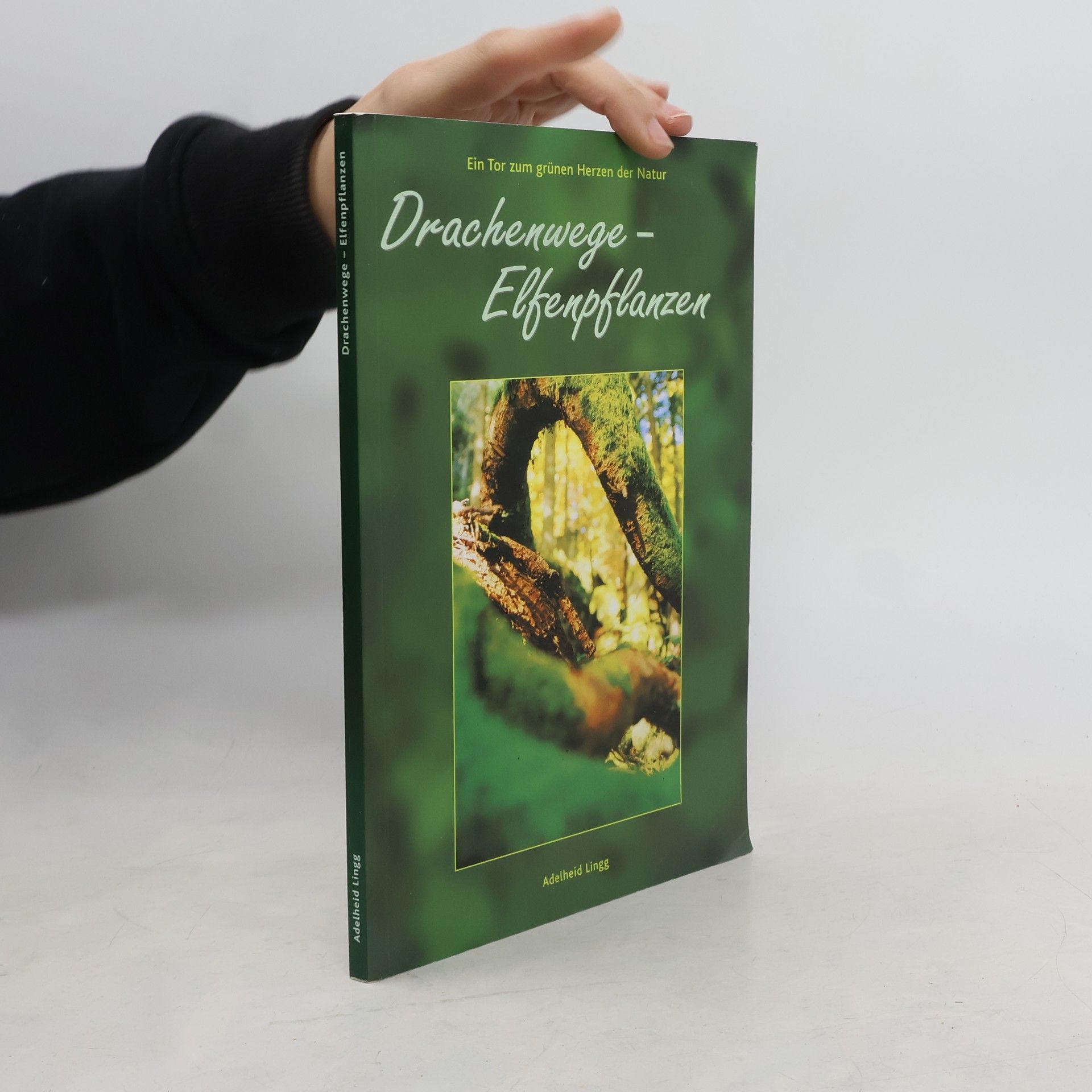 Adelheid Lingg Drachenwege - Elfenpflanzen