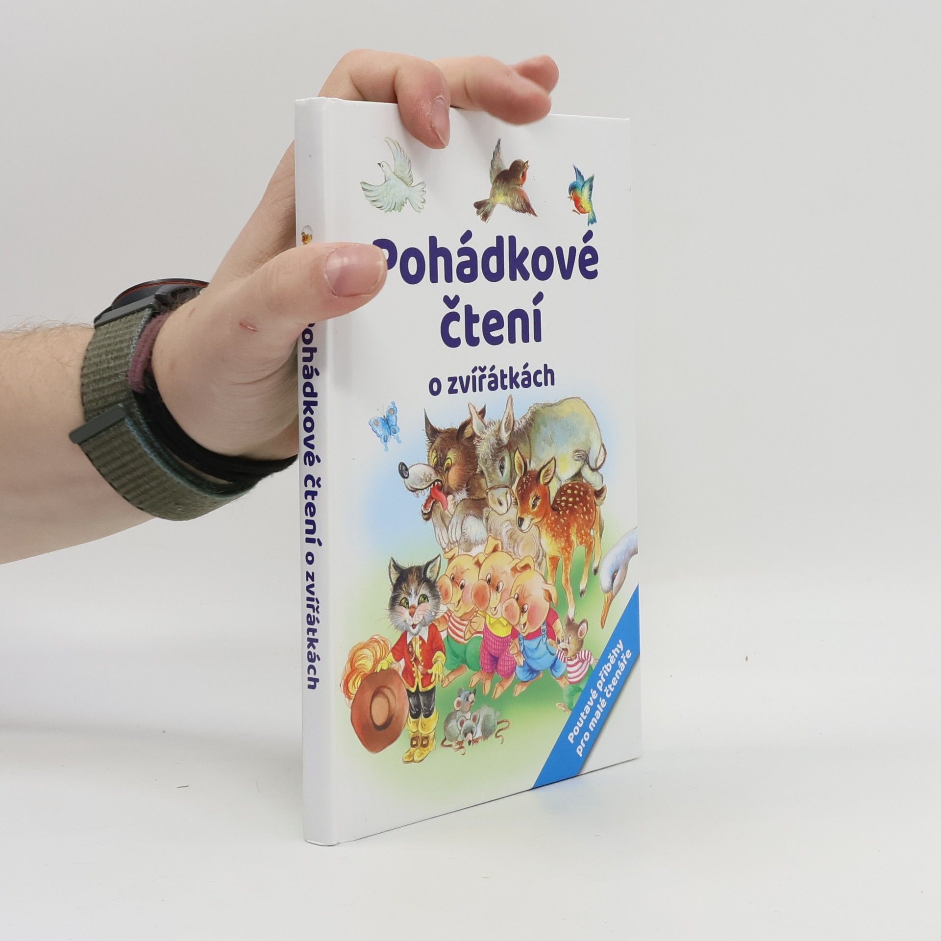 Autorenkollektiv Pohádkové čtení o zvířátkách