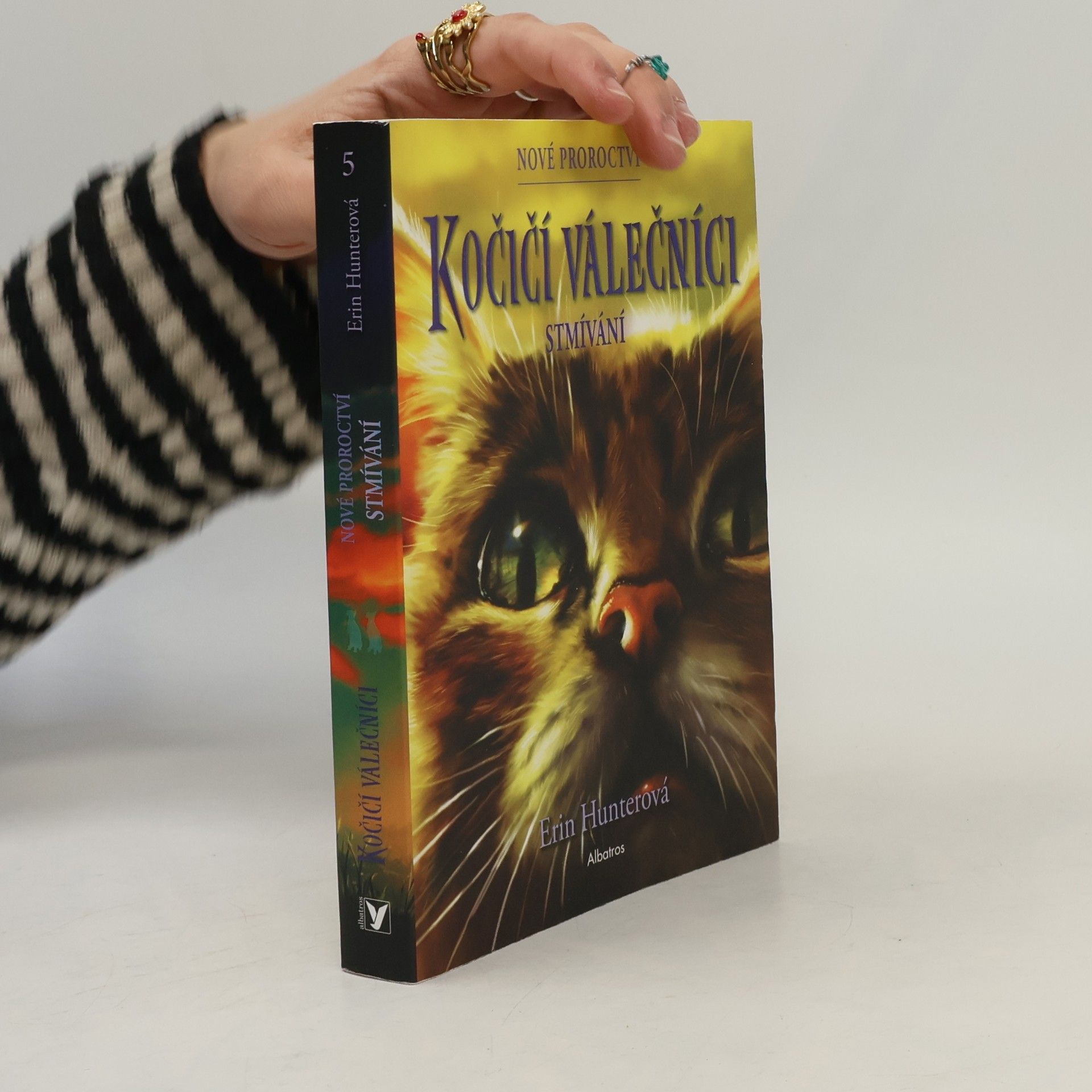 Erin Hunter Kočičí válečníci : nové proroctví. Stmívání