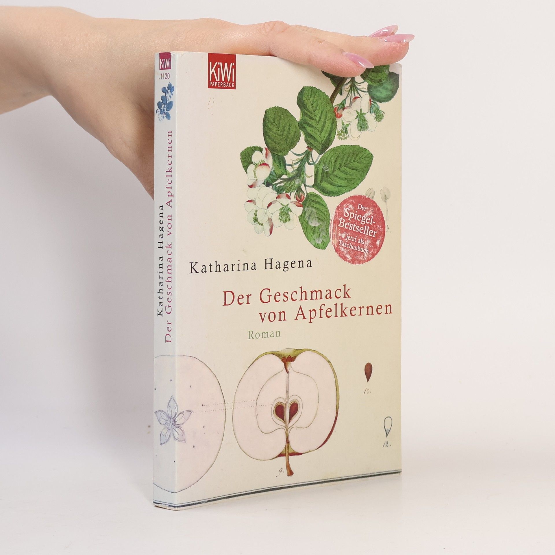 Katharina Hagena Der Geschmack von Apfelkernen