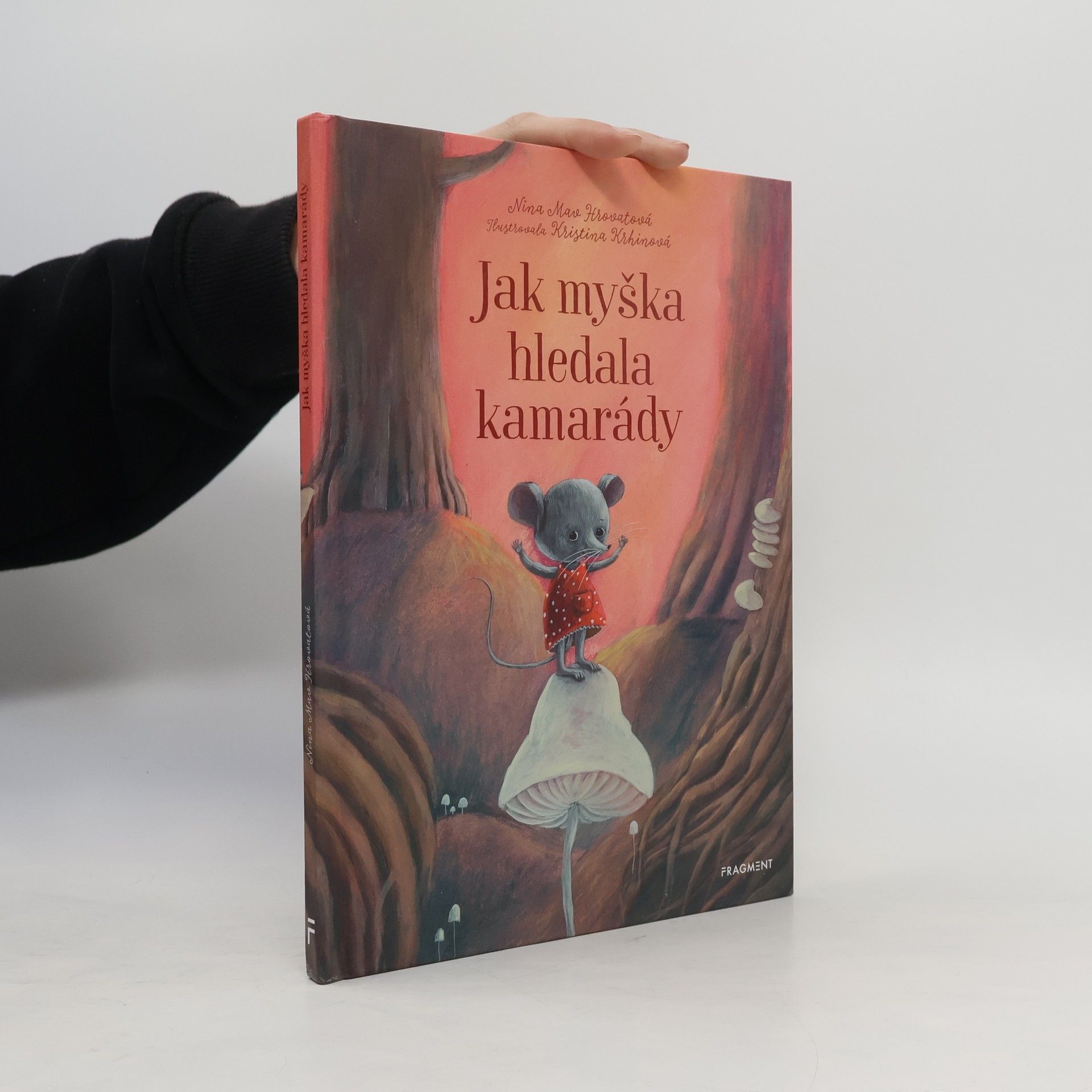Nina Mav Hrovat Jak myška hledala kamarády