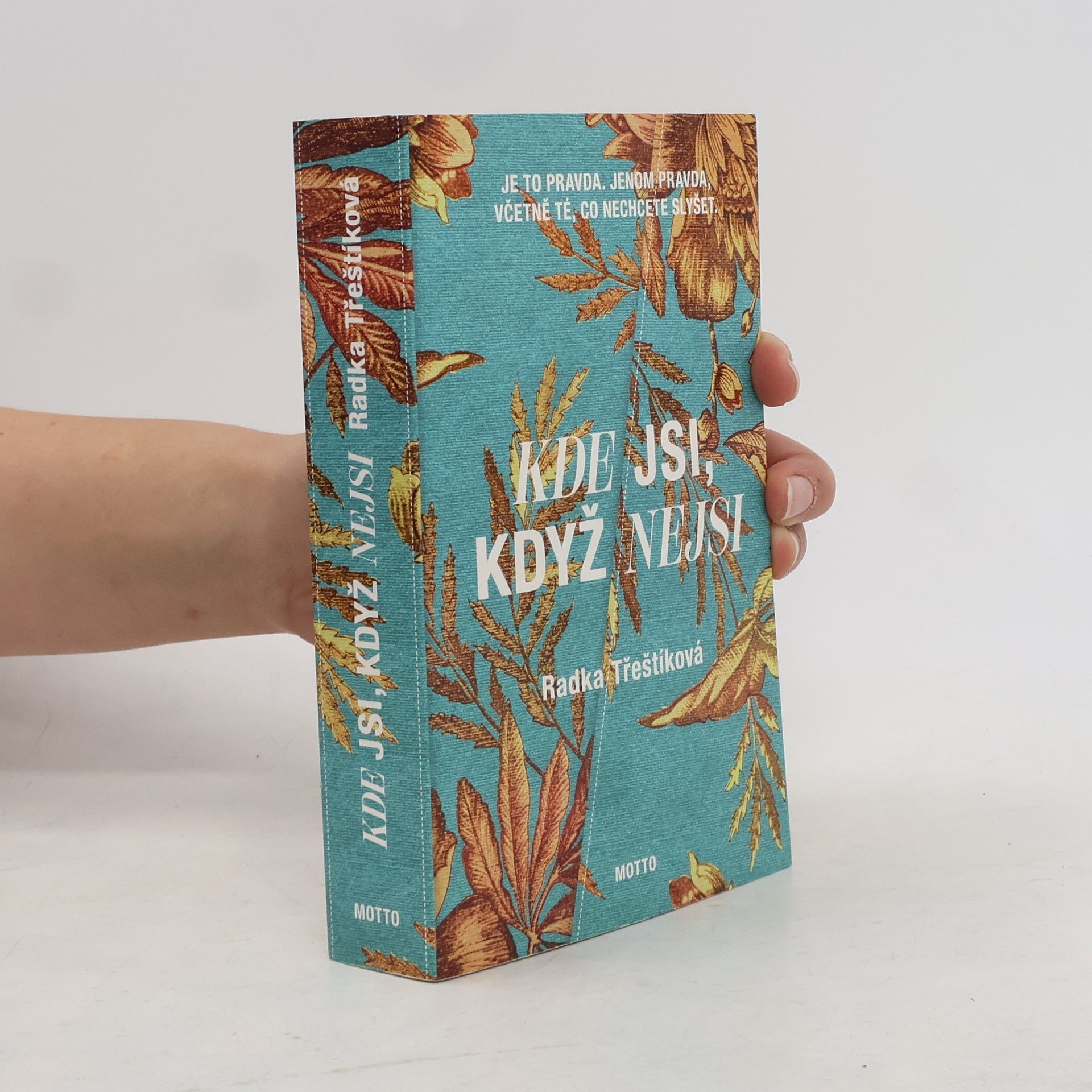 Radka Třeštíková Kde jsi, když nejsi