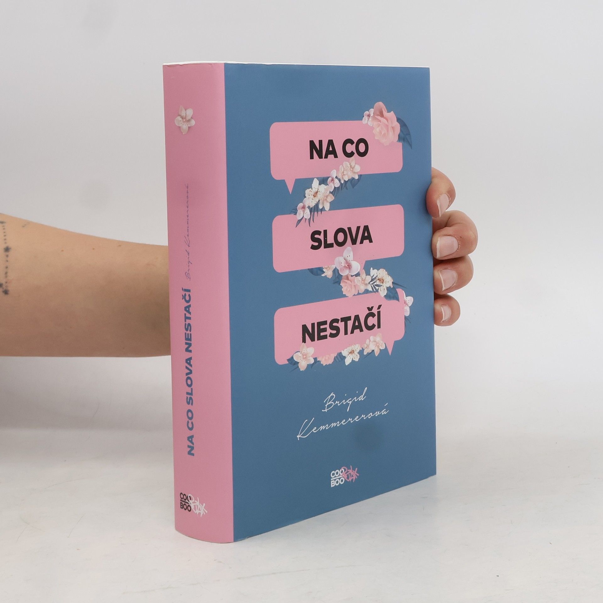 Brigid Kemmerer Na co slova nestačí