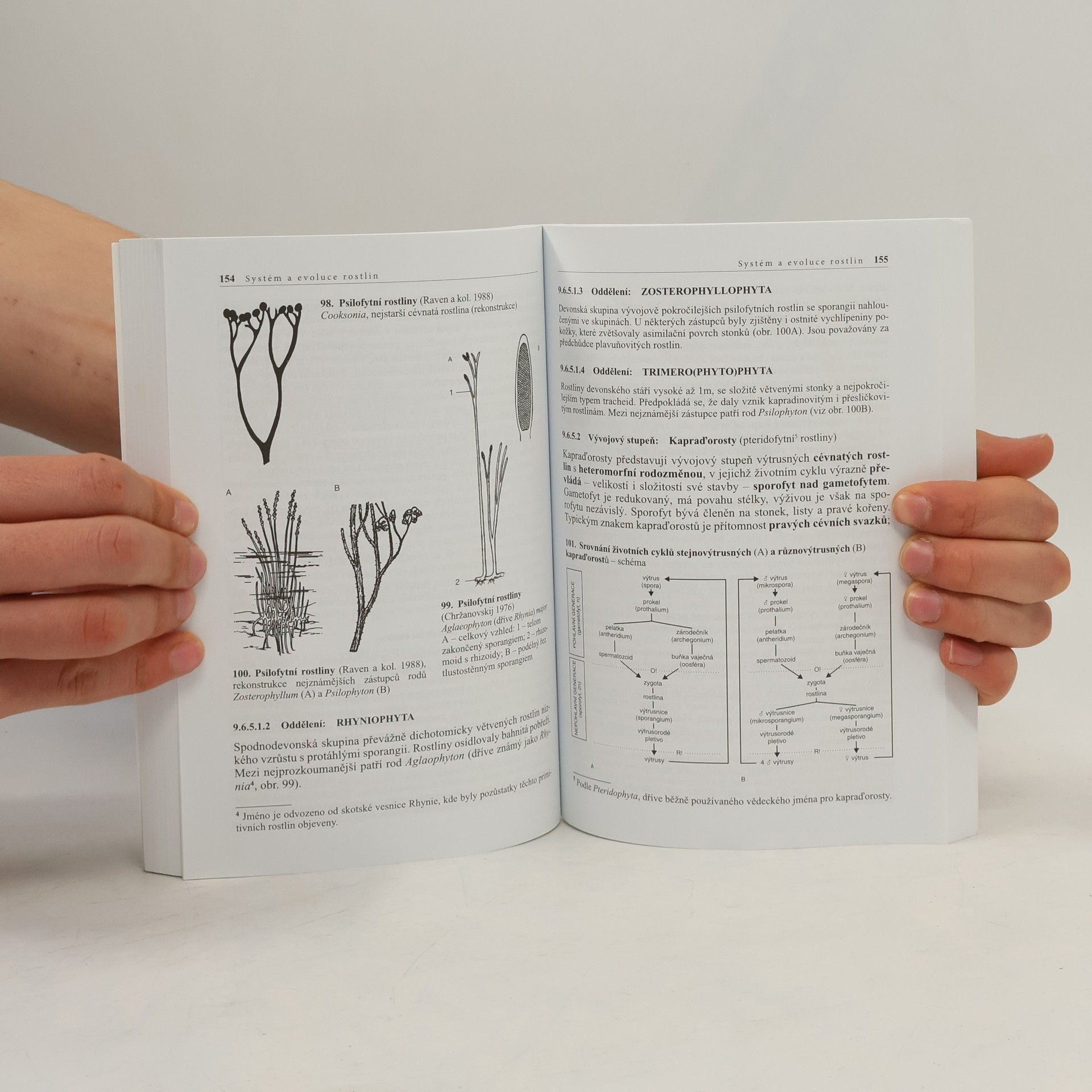 Lubomír Kincl Biologie rostlin: Pro 1. ročník gymnázií