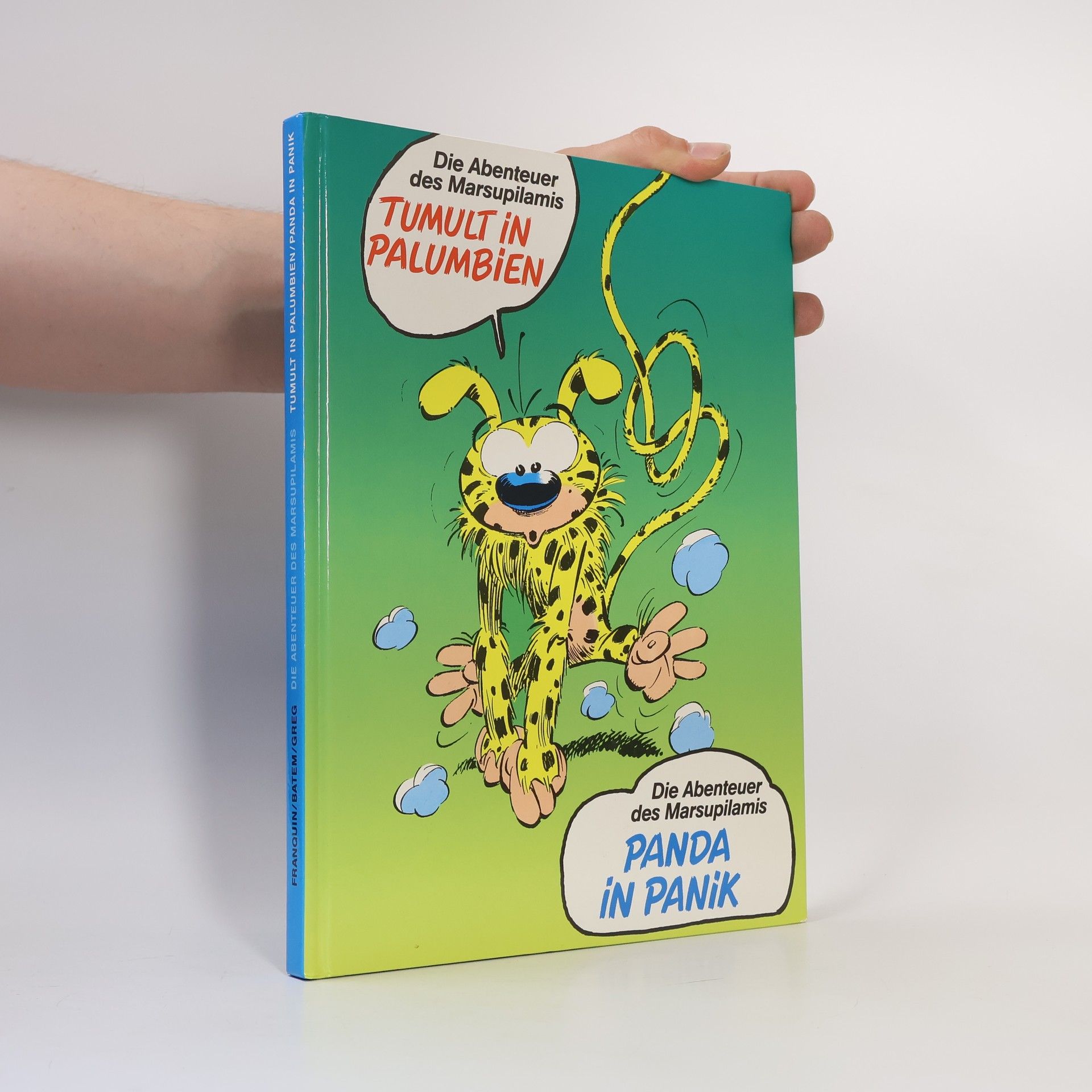 Autorenkollektiv Tumult in Palumbien / Panda in Panik