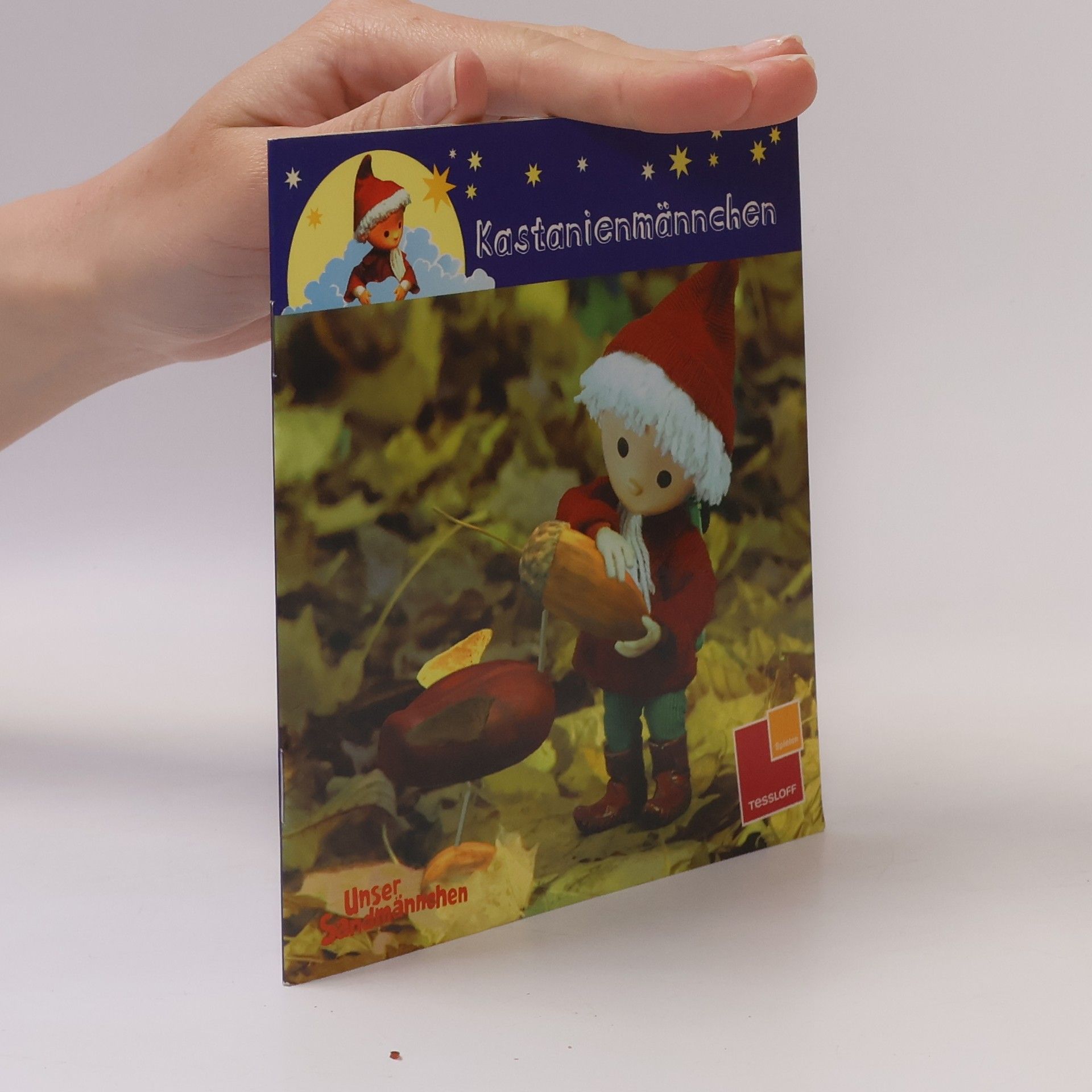 Autorenkollektiv Kastanienmännchen