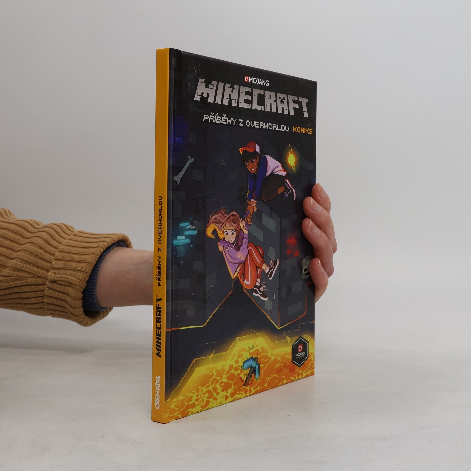Ian Flynn Minecraft. Příběhy z Overworldu