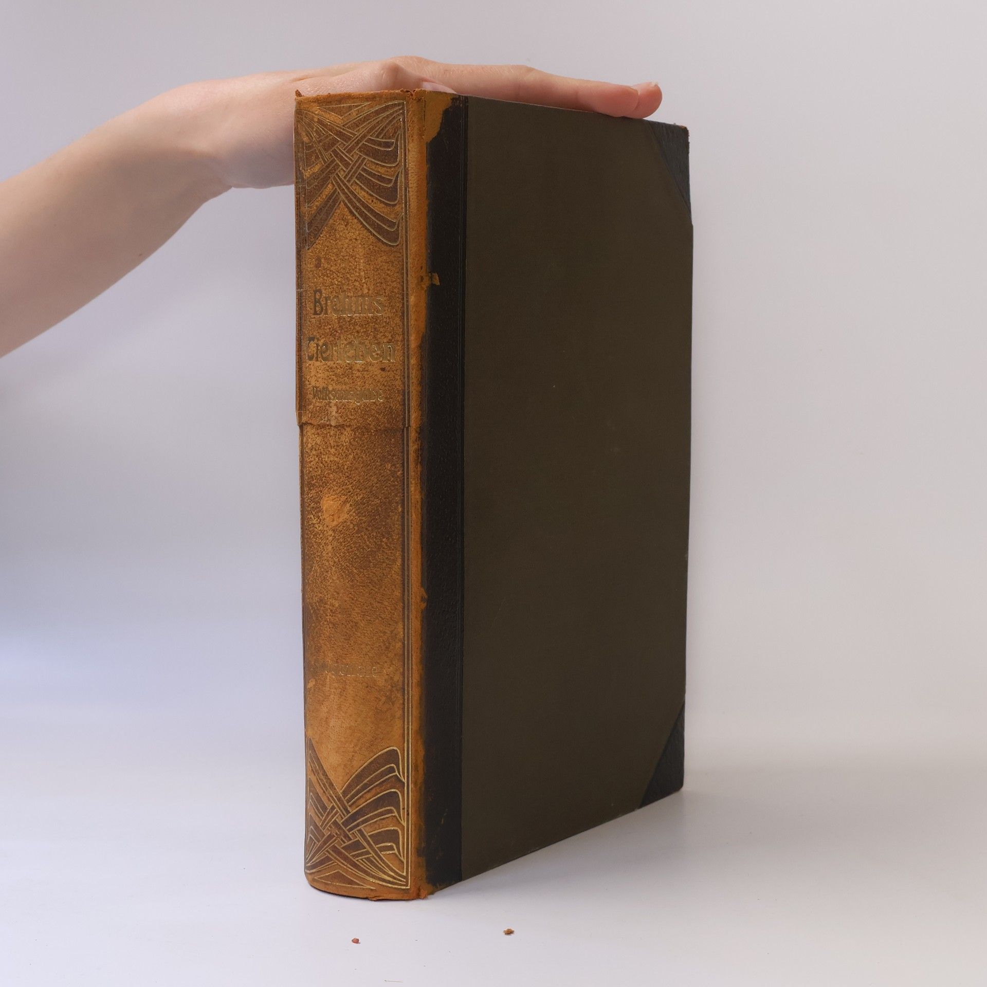 Autorenkollektiv Brehms Tierleben 1