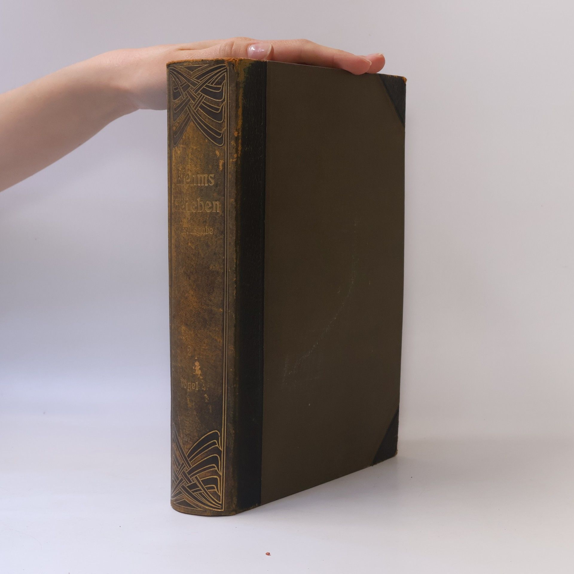 Alfred Edmund Brehm Brehms Tierleben II.