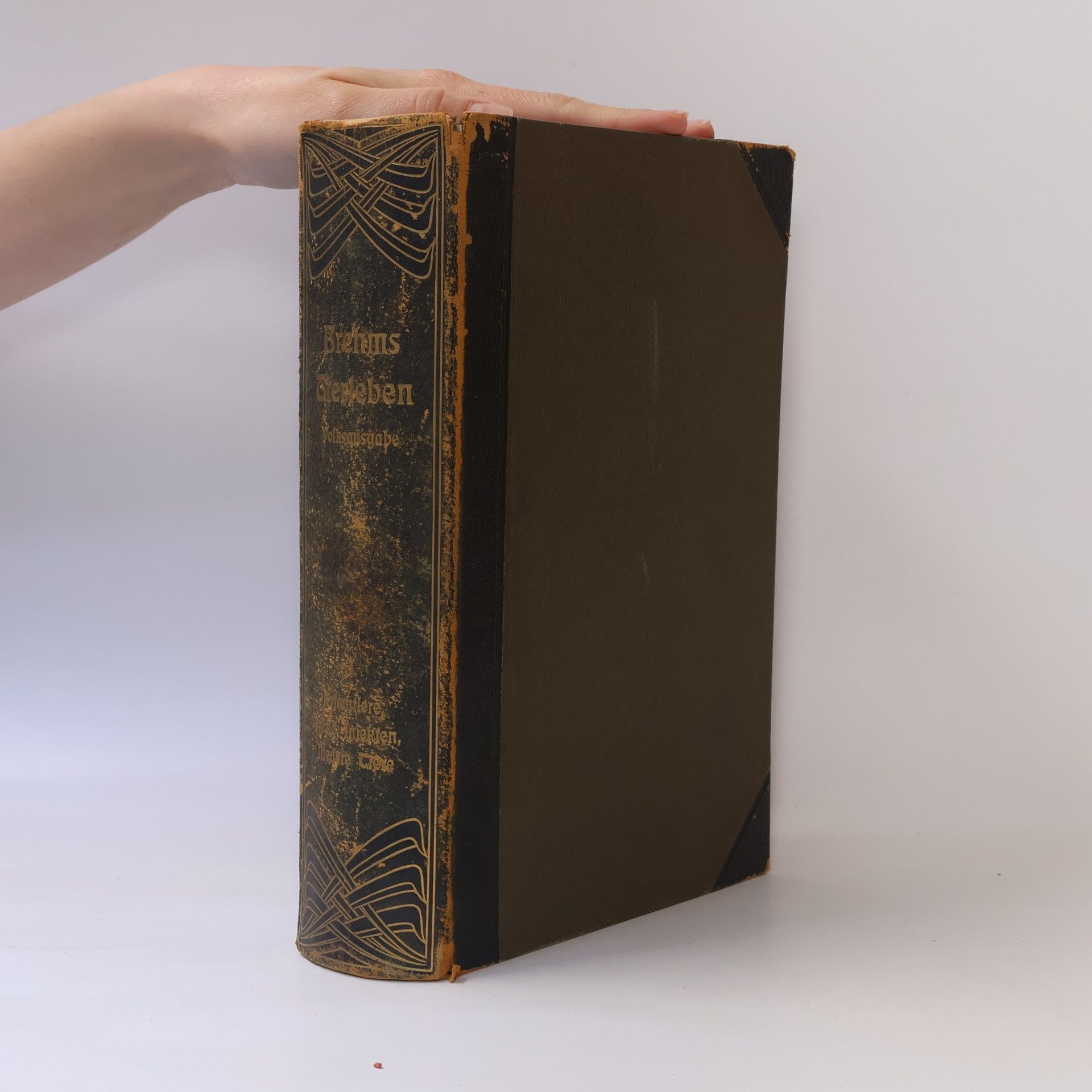 Alfred Edmund Brehm Brehms Tierleben 3. Kleine Ausgabe für Volk und Schule