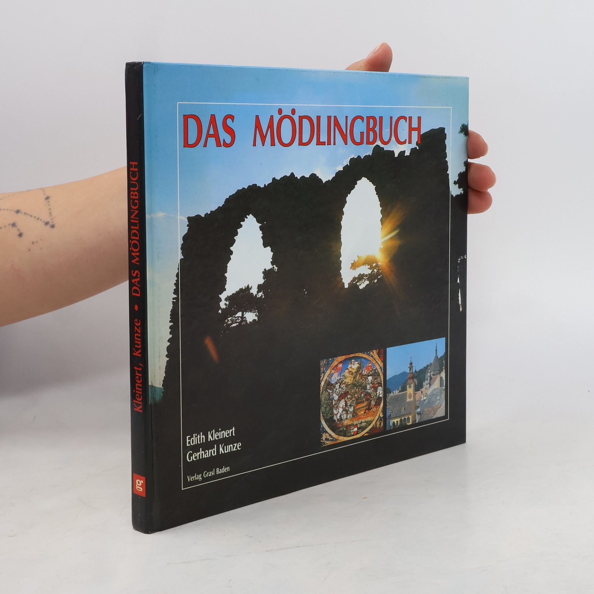 Autorenkollektiv Das Mödlingbuch