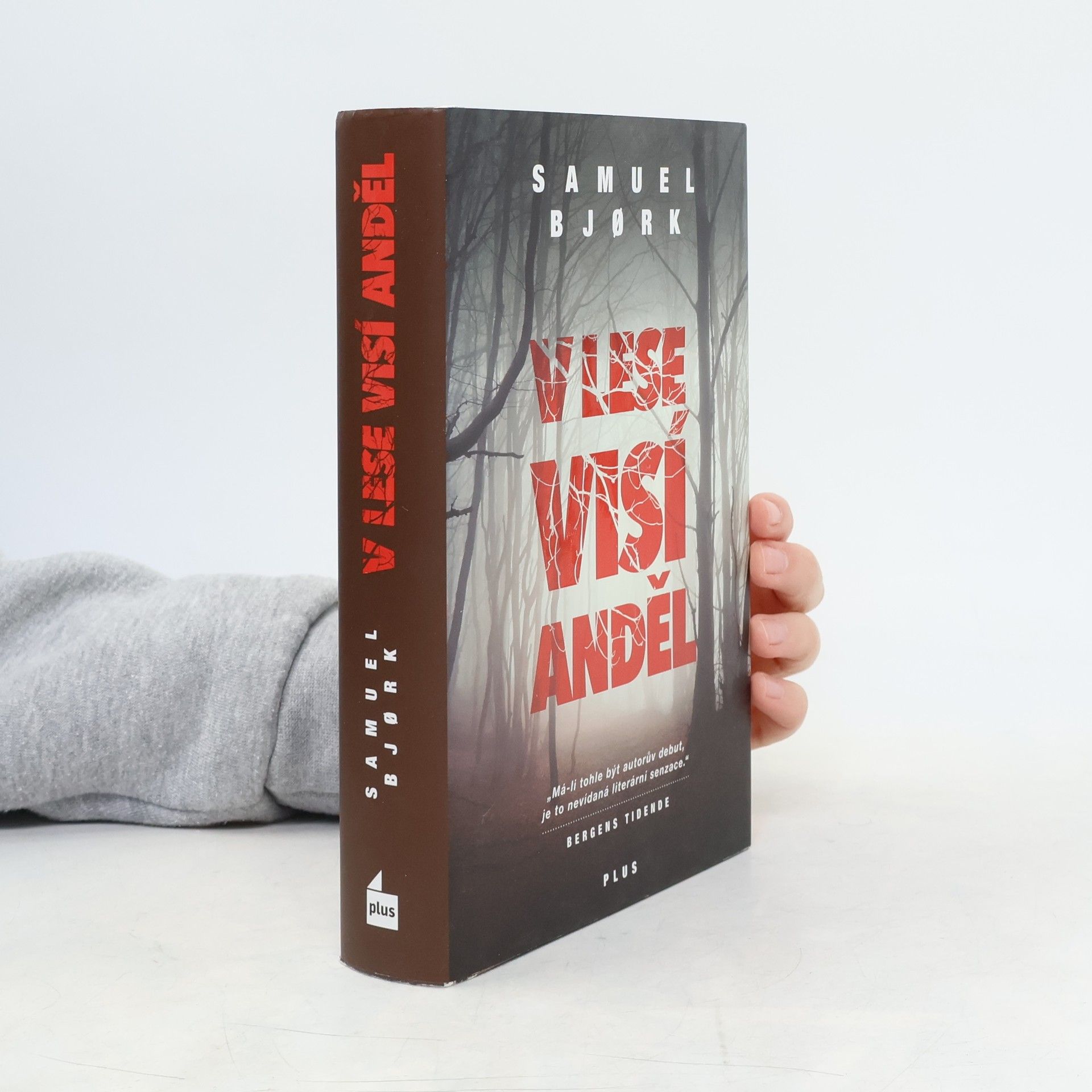 Samuel Bjork V lese visí anděl