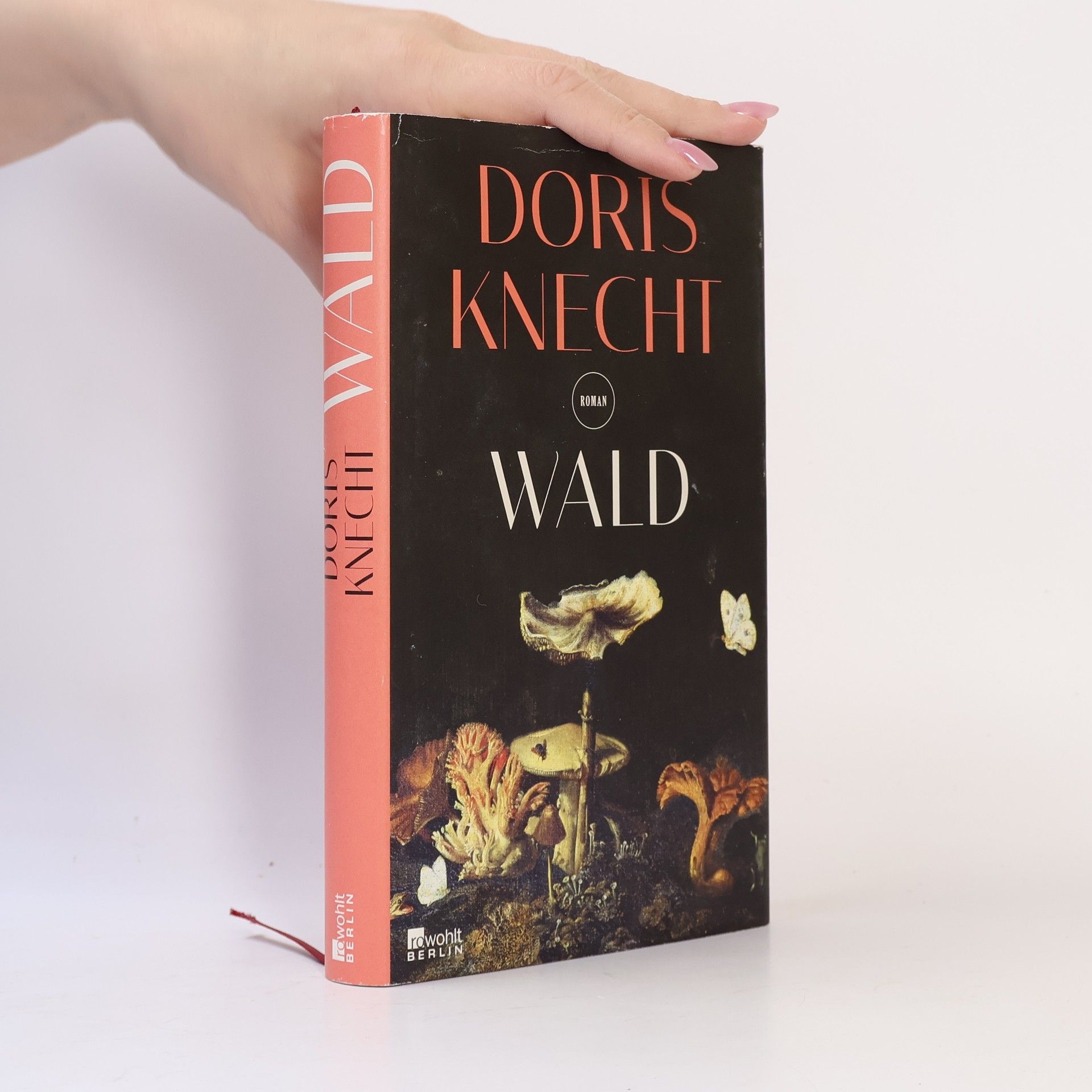 Doris Knecht Wald