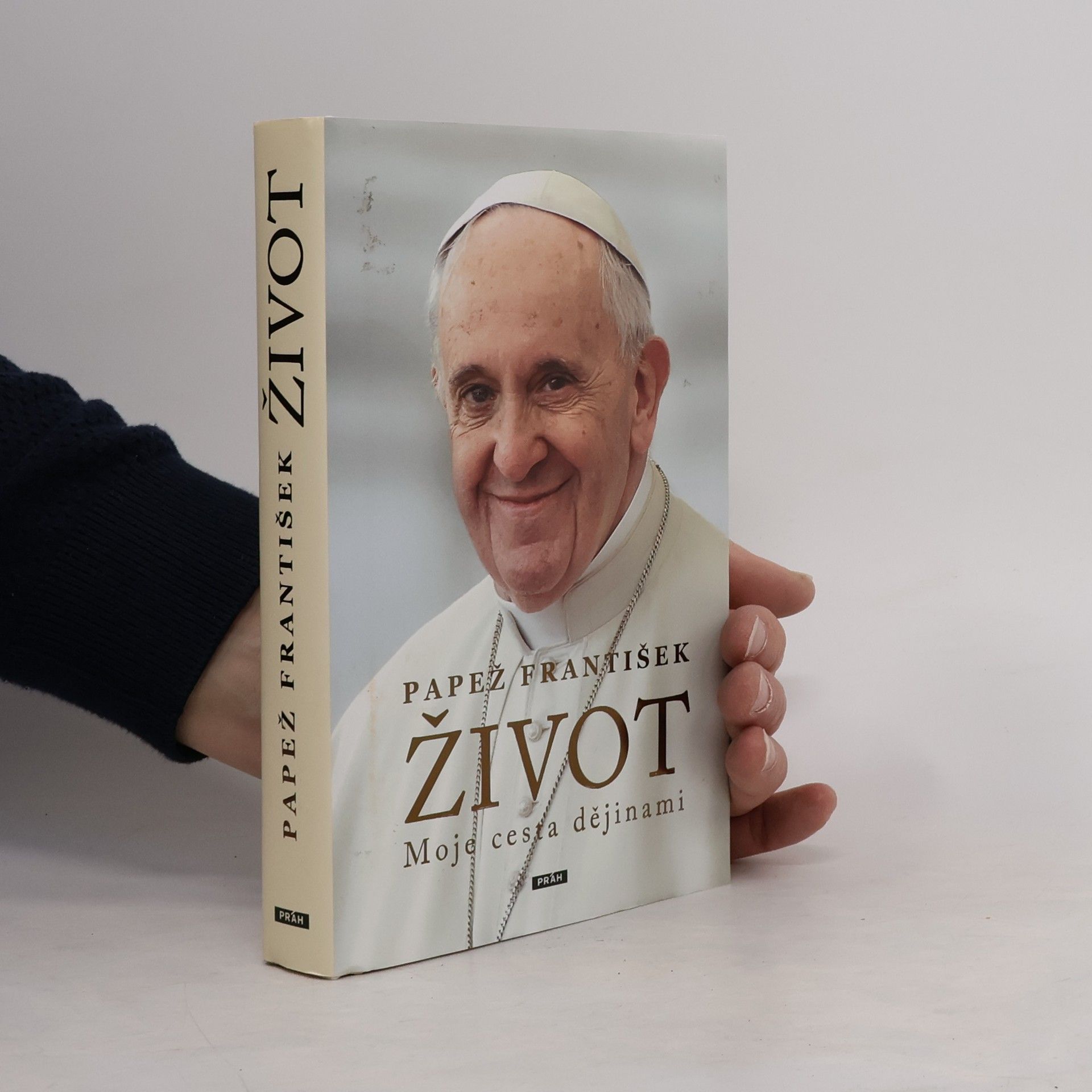 Papst Franziskus Život. Moje cesta dějinami