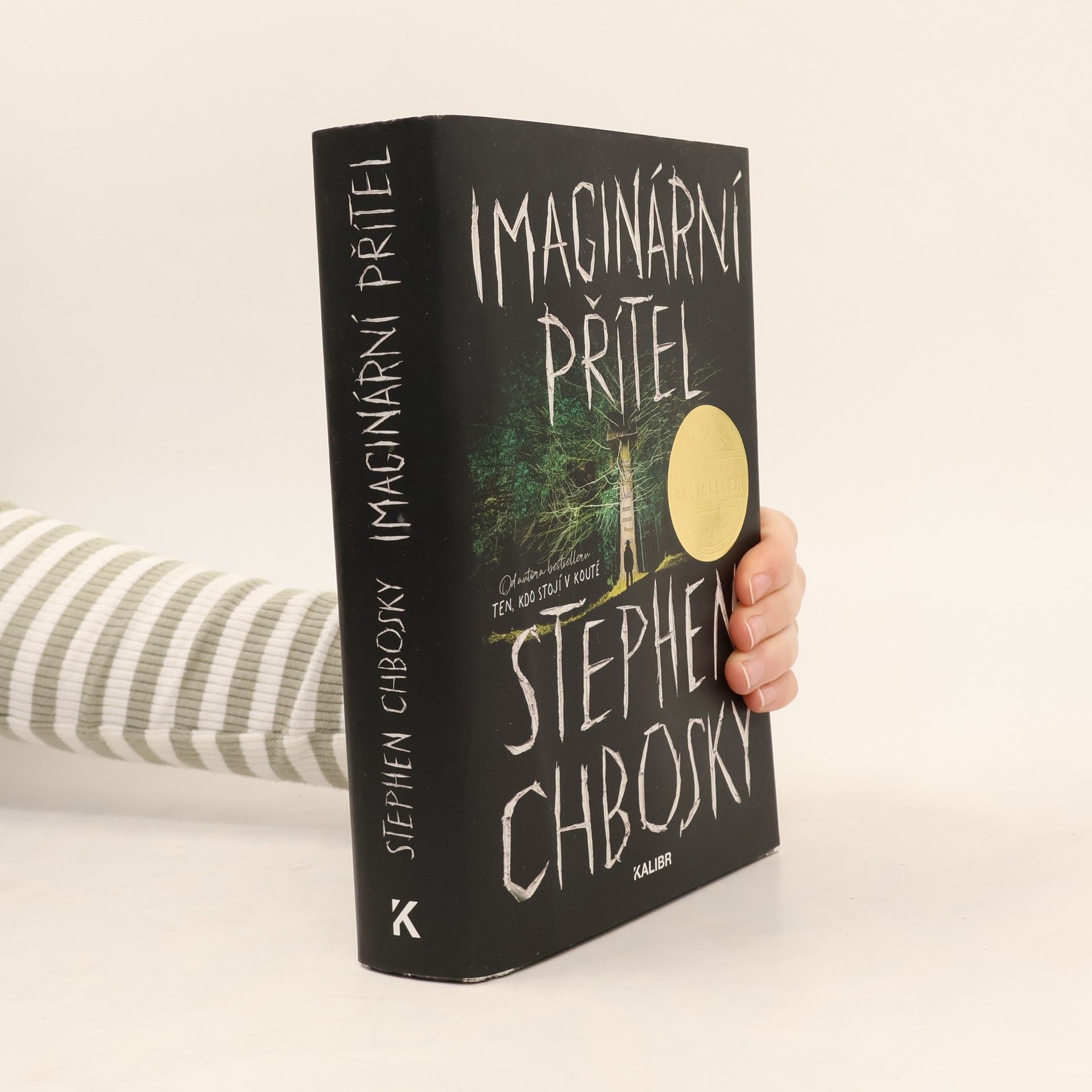 Stephen Chbosky Imaginární přítel