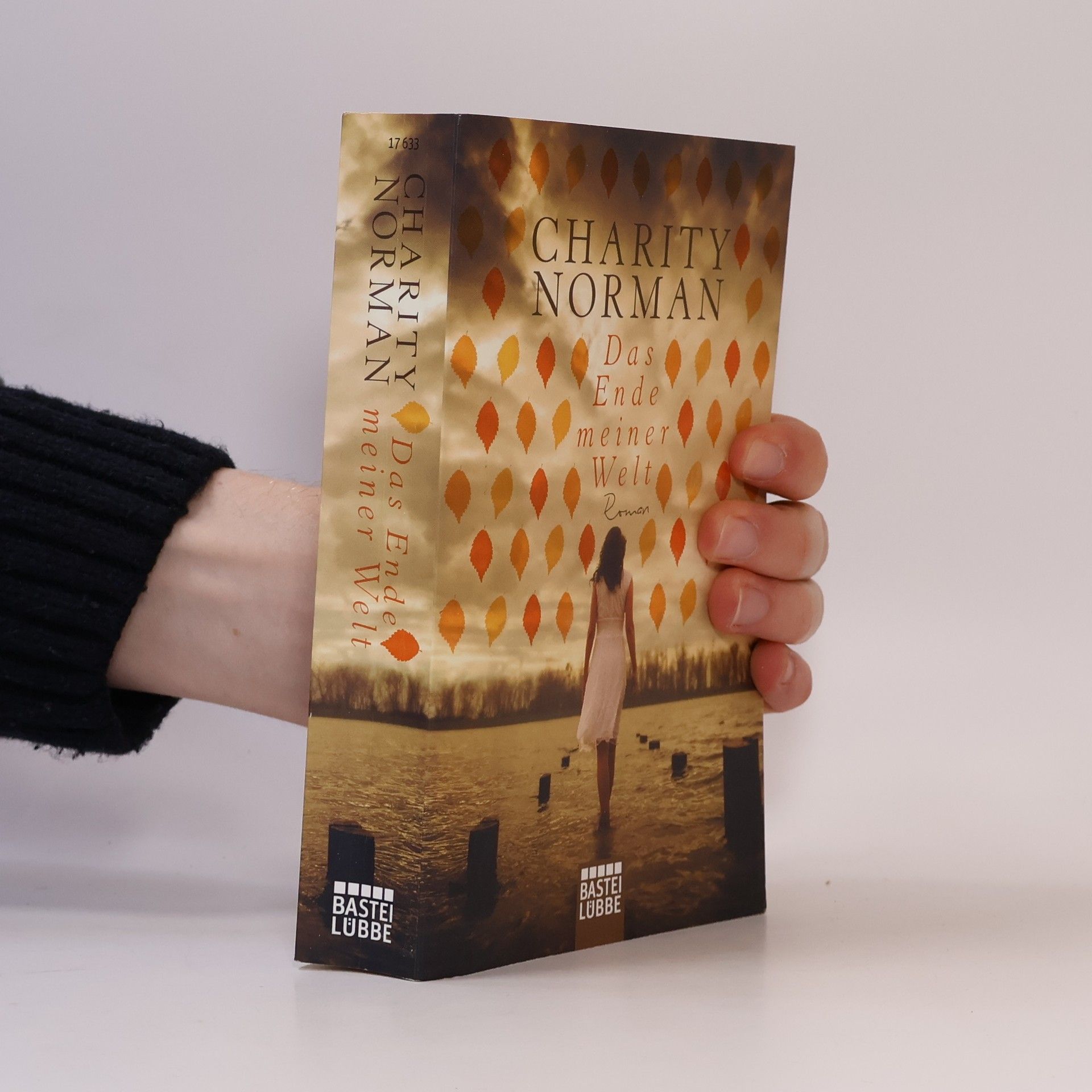 Charity Norman Das Ende meiner Welt