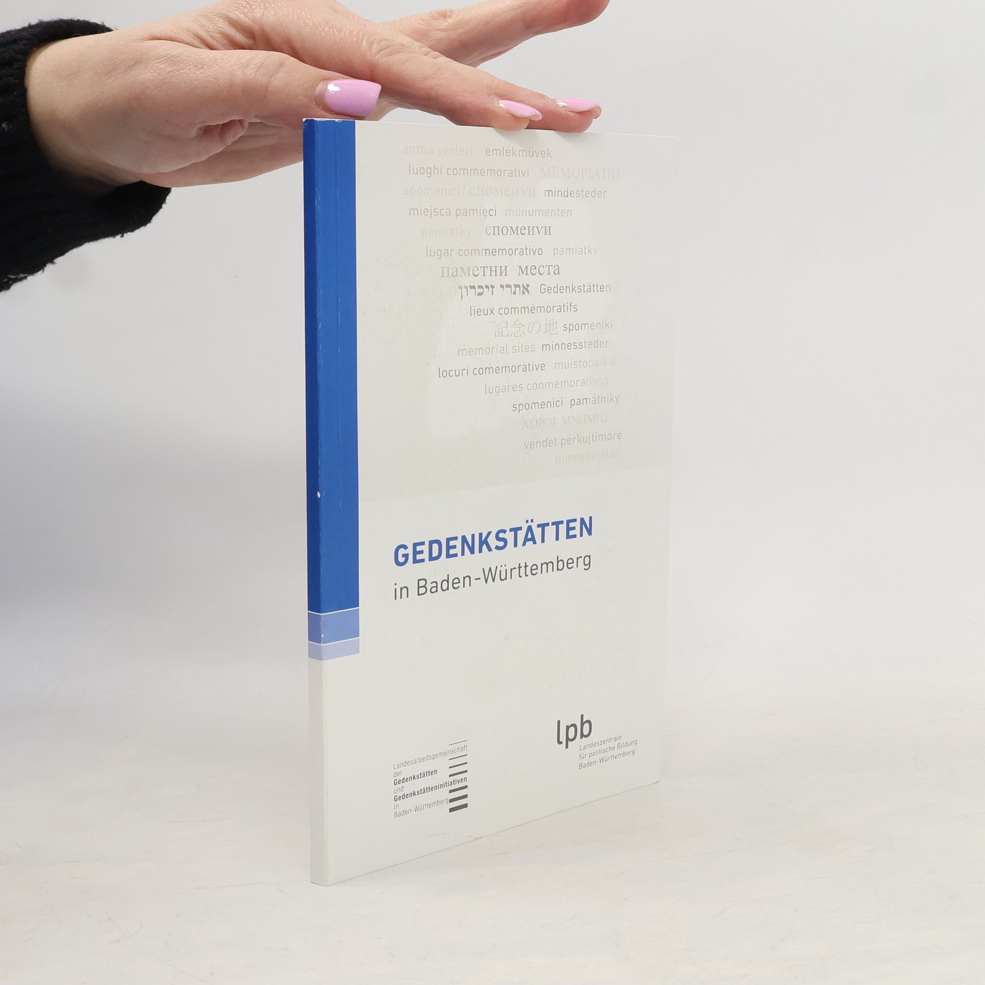 Kolektív autorov Gedenkstätten in Baden-Württemberg