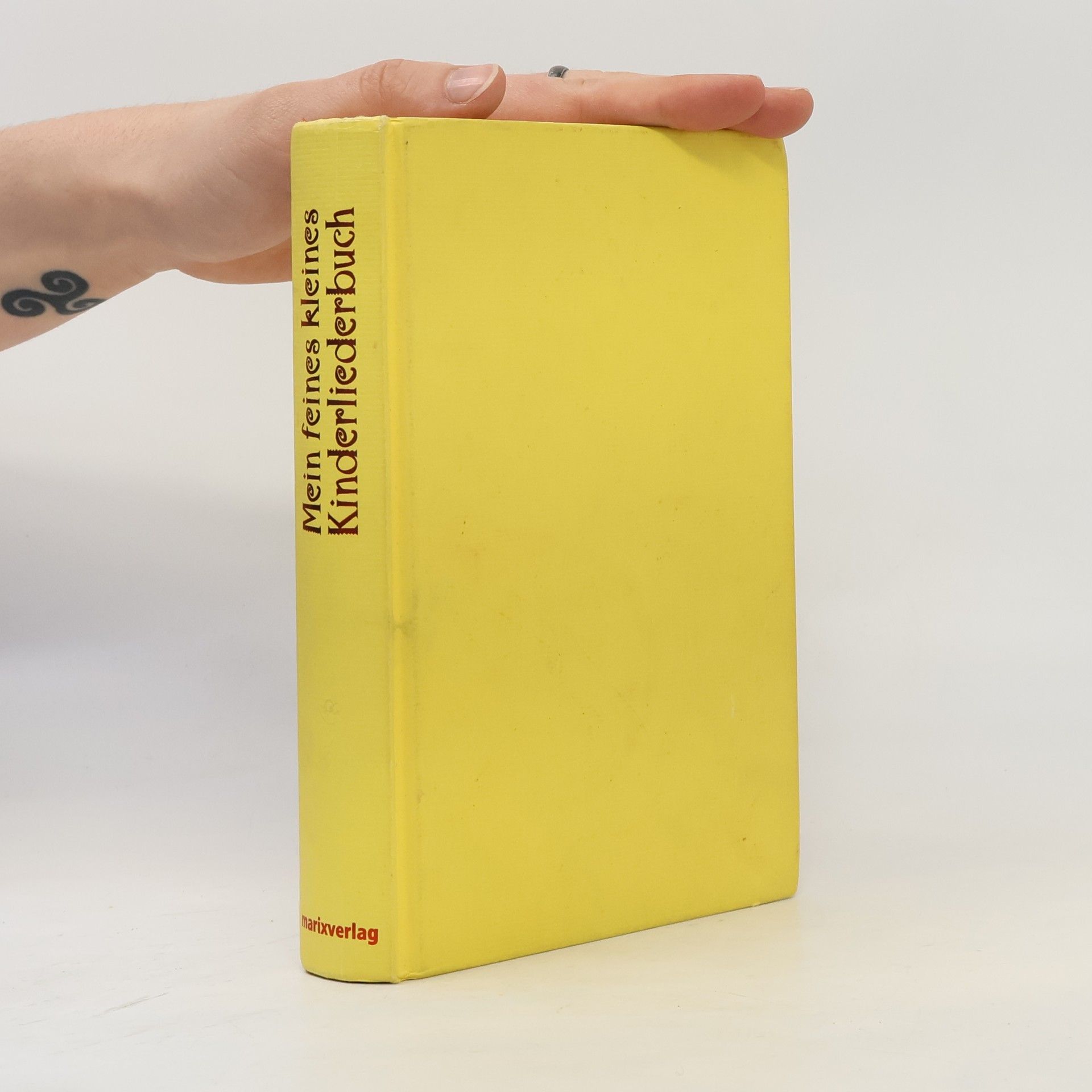 Mein feines kleines Kinderliederbuch