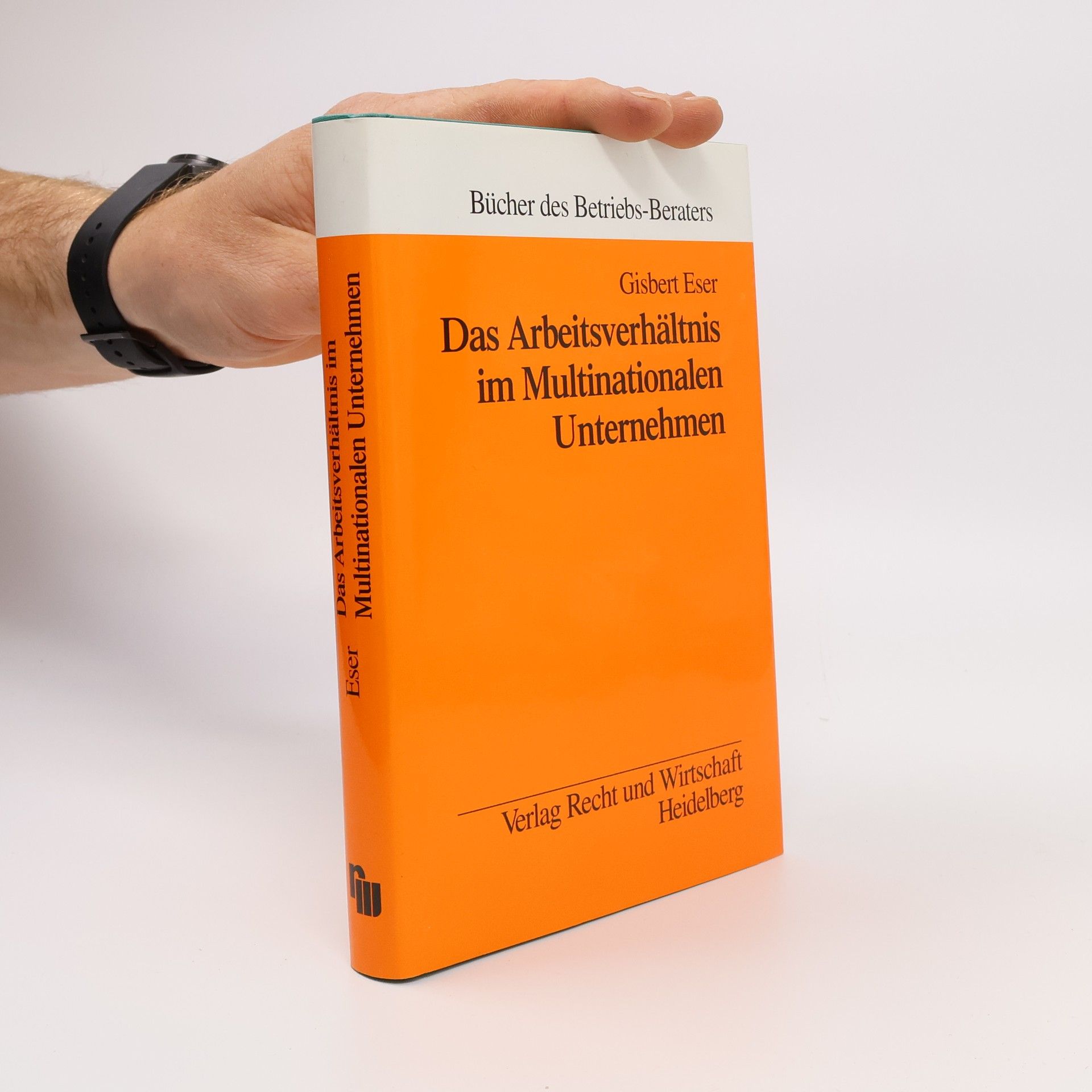 Gisbert Eser Das Arbeitsverhältnis im multinationalen Unternehmen