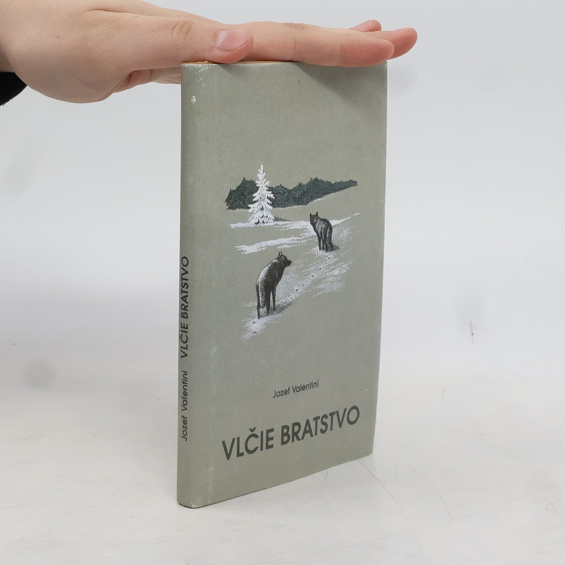 Jozef Valentini Vlčie bratstvo