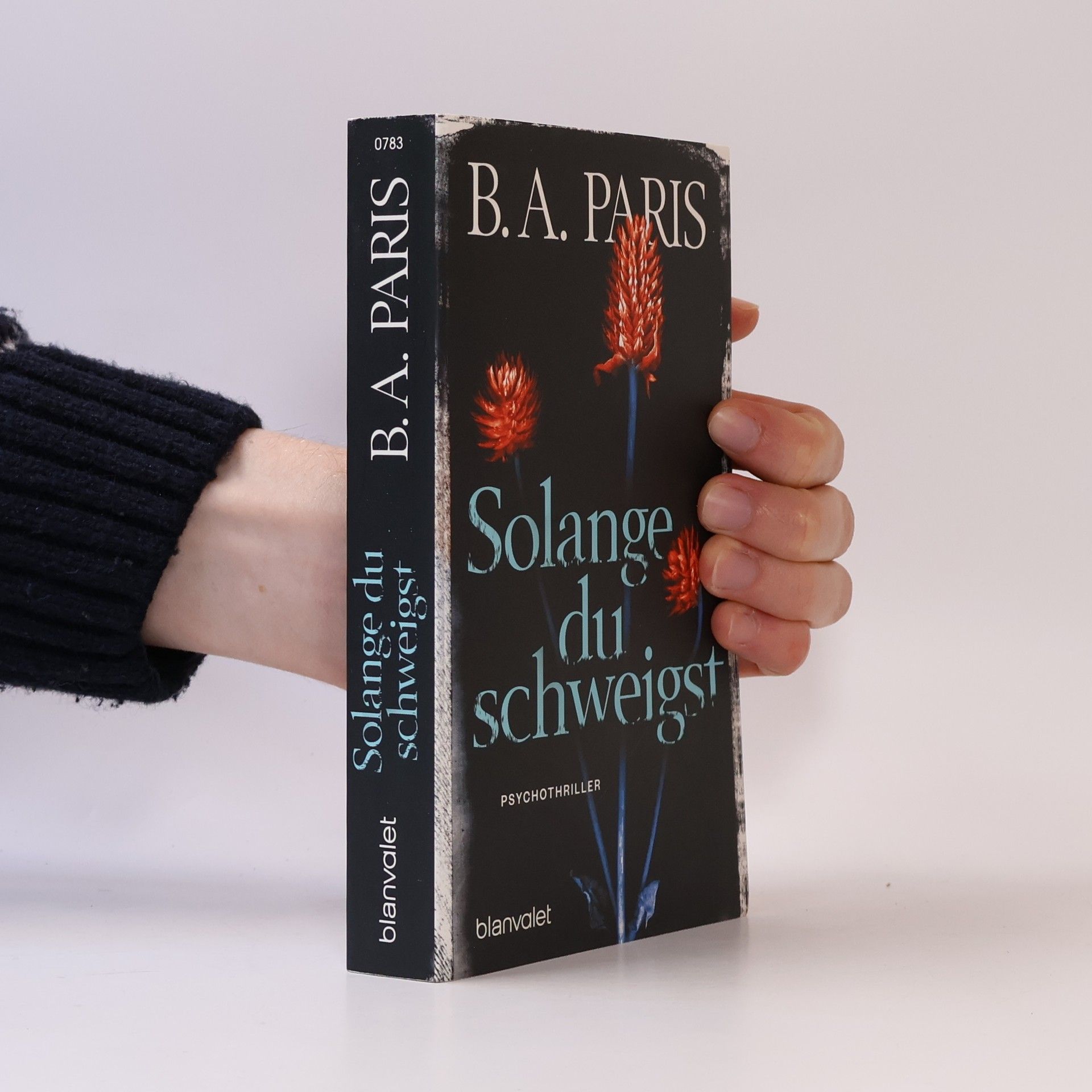 B. A. Paris Solange du schweigst