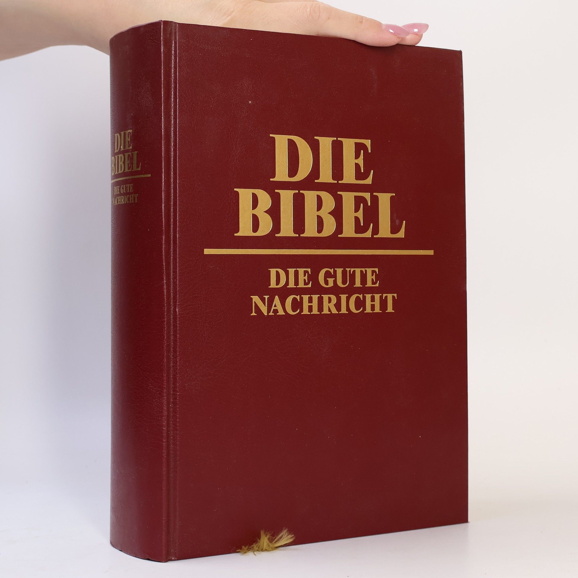 Collectif d'auteurs Die Bibel. Die gute Nachricht