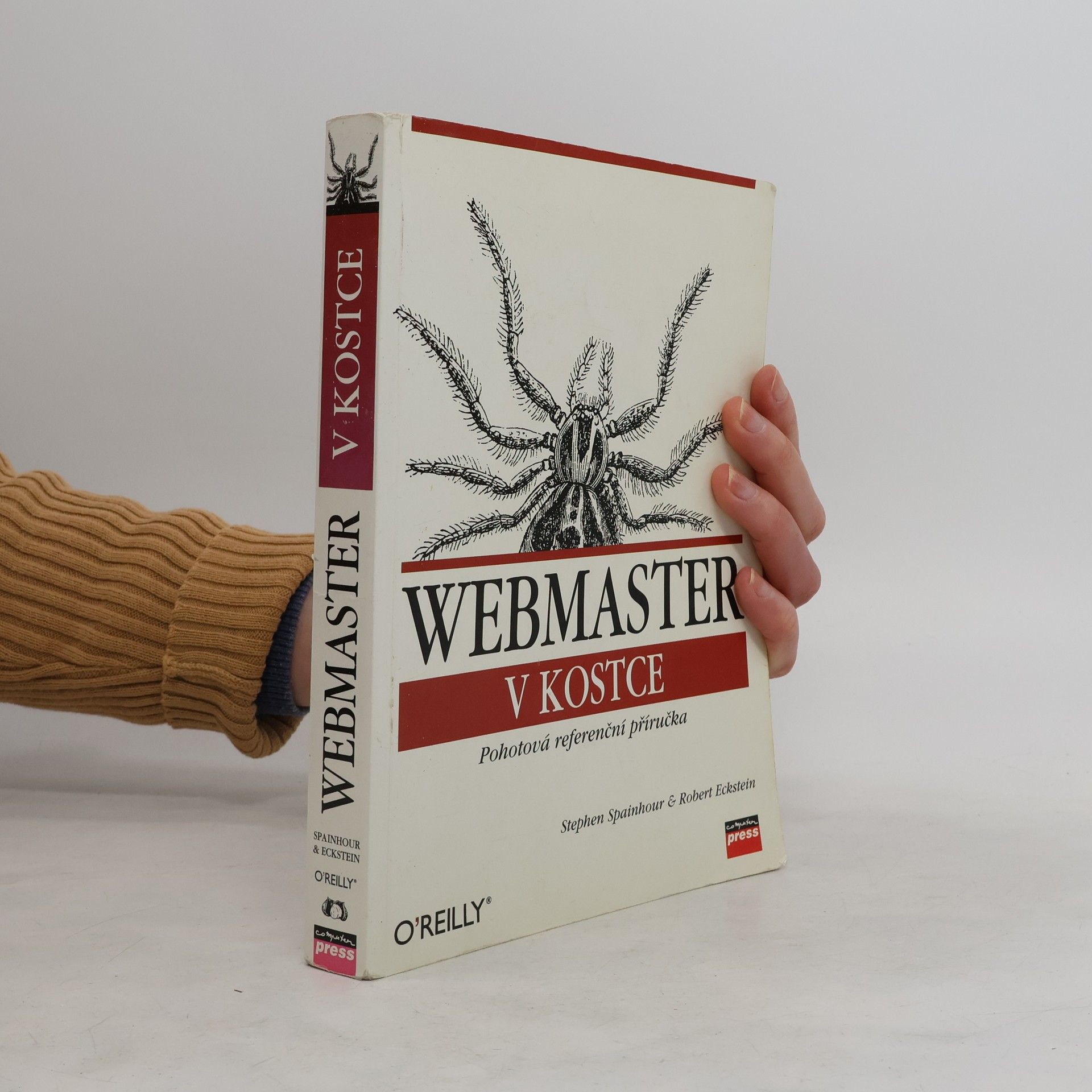 Webmaster v kostce. Pohotová referenční příručka