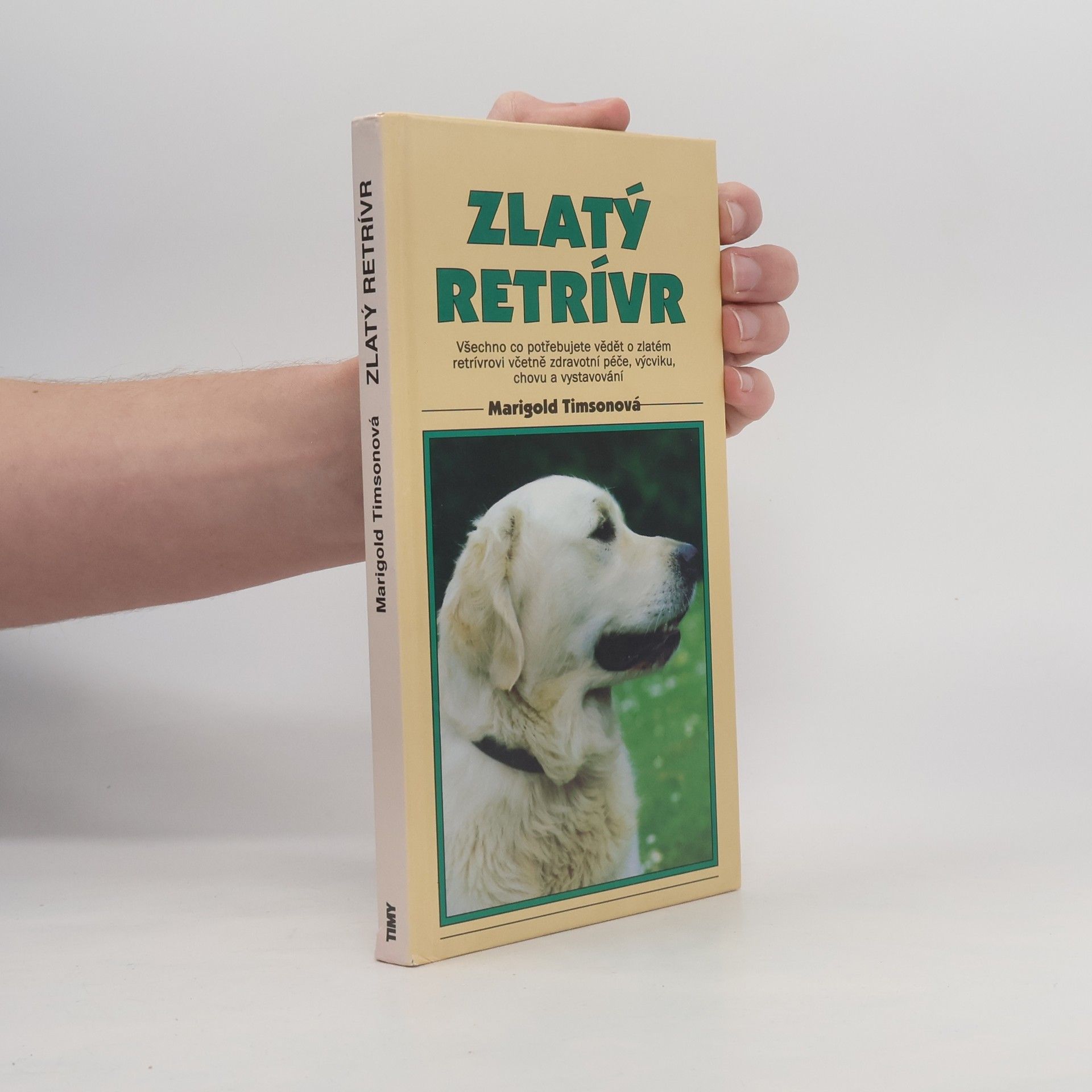 Marigold Timson Zlatý retriever