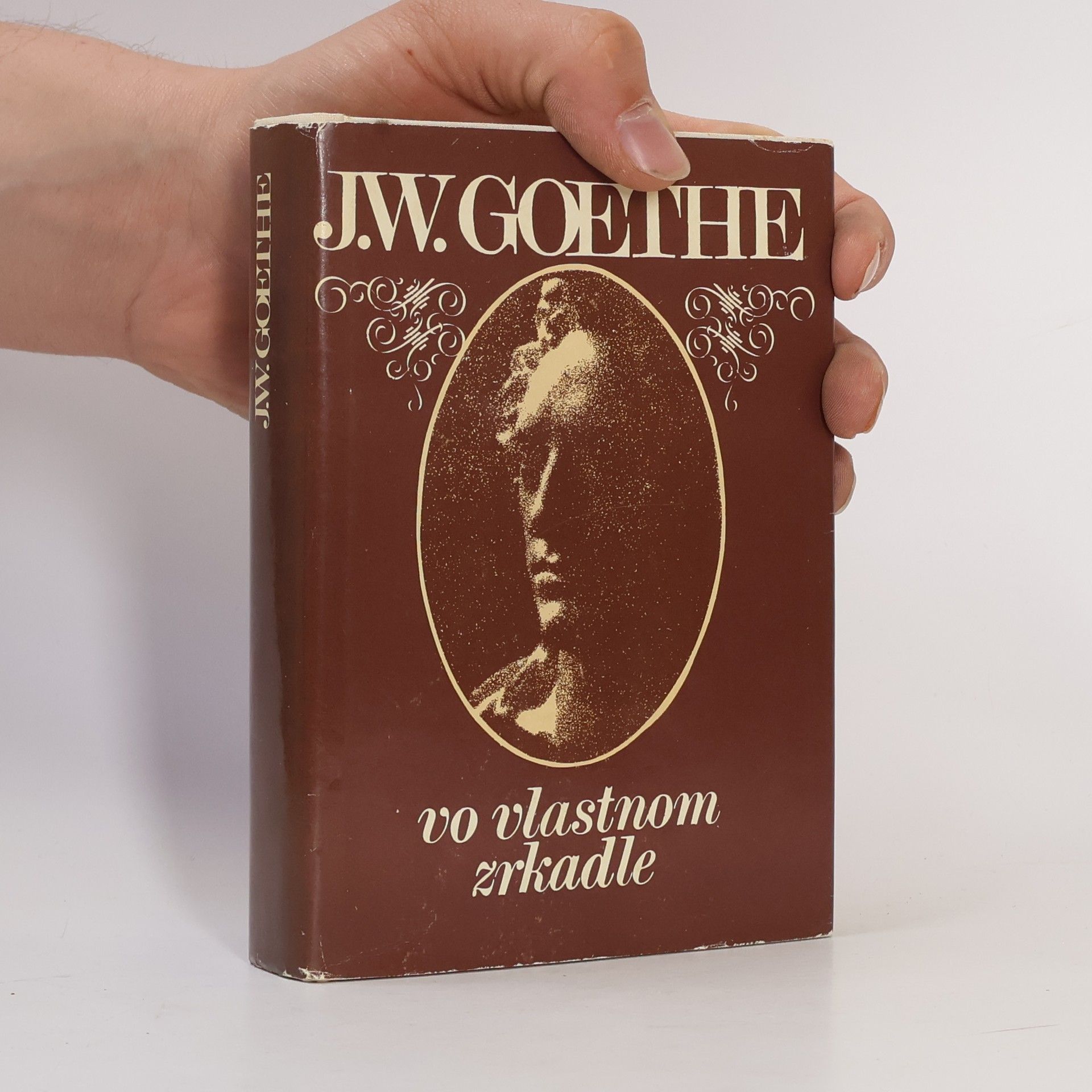 Johann Wolfgang von Goethe Vo vlastnom zrkadle