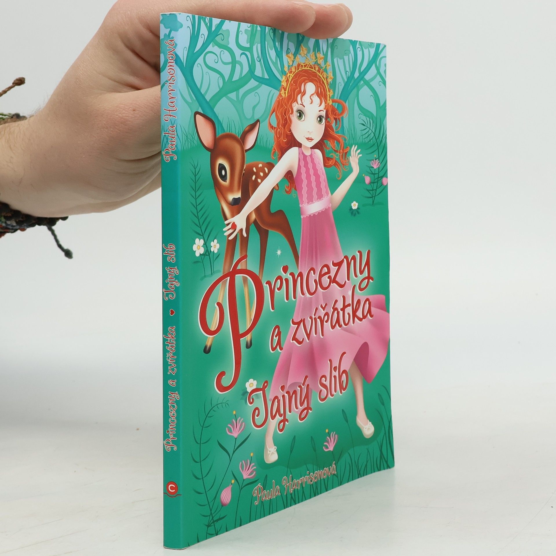 Paula Harrison Tajný slib