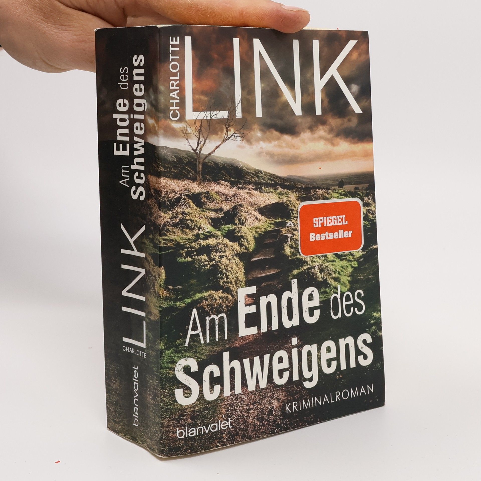 Charlotte Link Am Ende des Schweigens