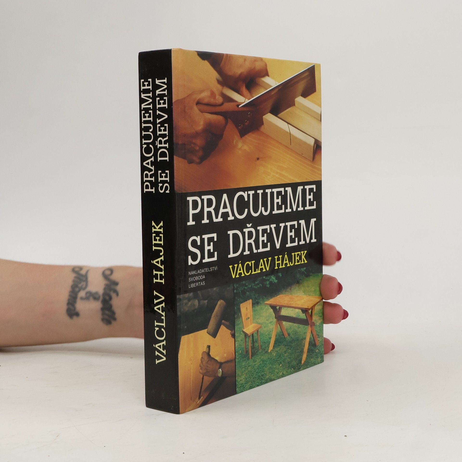 Václav Hájek Pracujeme se dřevem