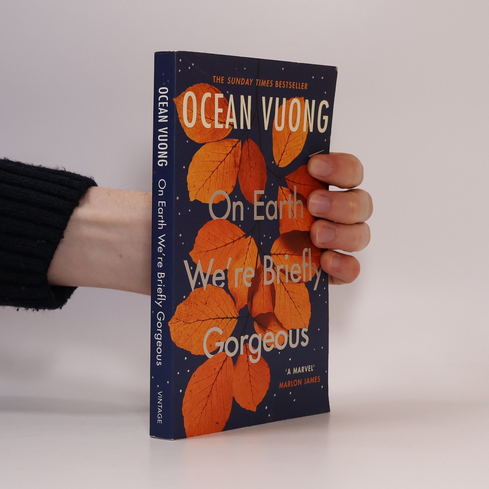Ocean Vuong On Earth We're Briefly Gorgeous