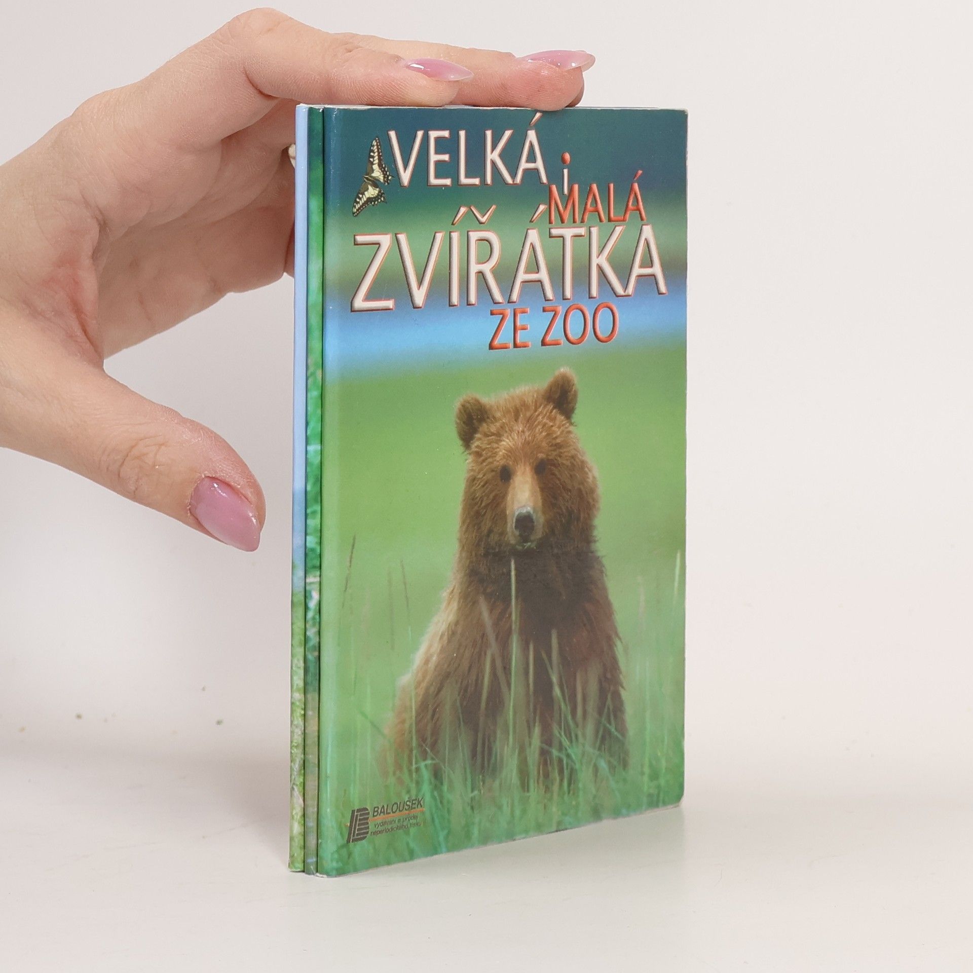 Autorenkollektiv Velká i malá zvířátka ze ZOO