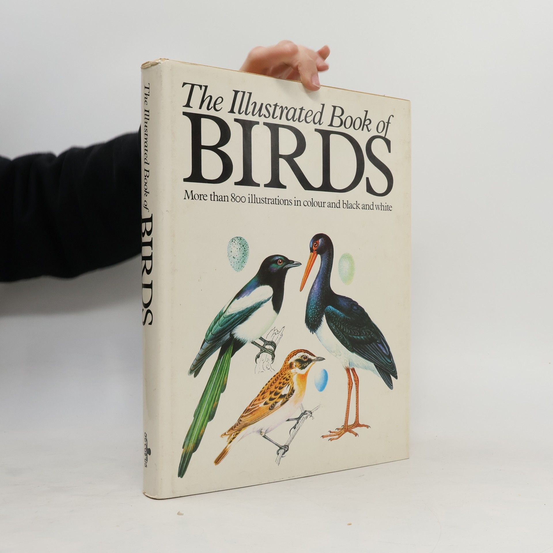 Jiří Felix The Illustrated Book of Birds