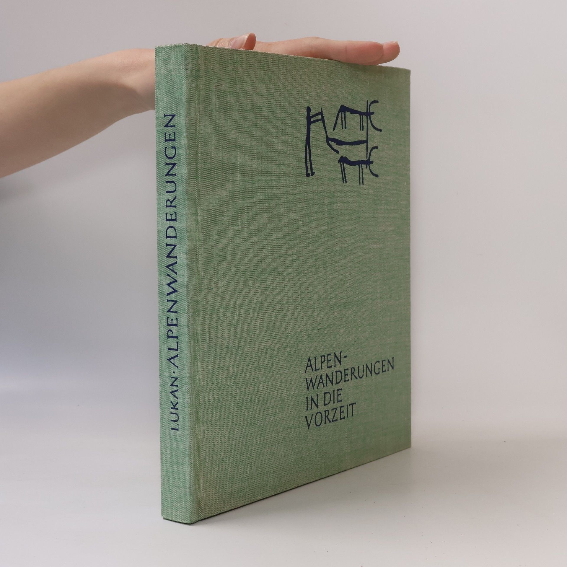 Alpenwanderungen in die Vorzeit zu Drachenhöhlen und Druidensteinen, Felsbildern und Römerstrassen