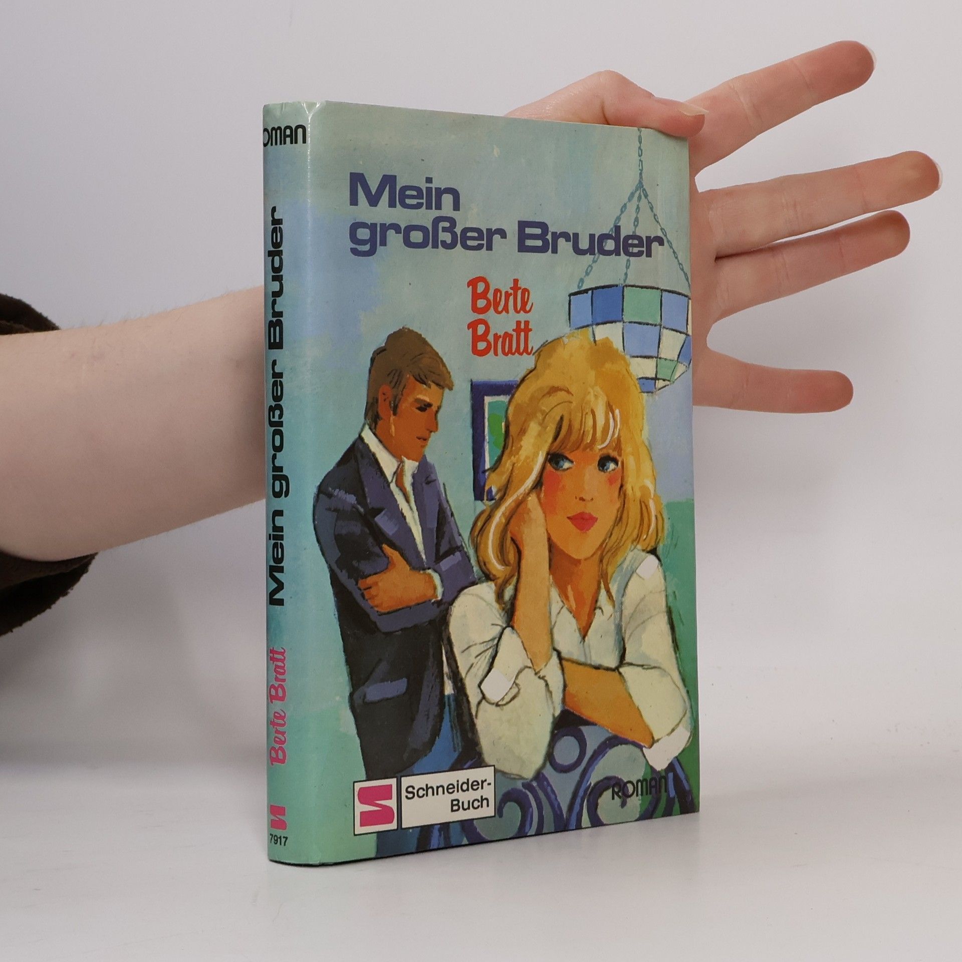 Berte Bratt Mein großer Bruder. Roman