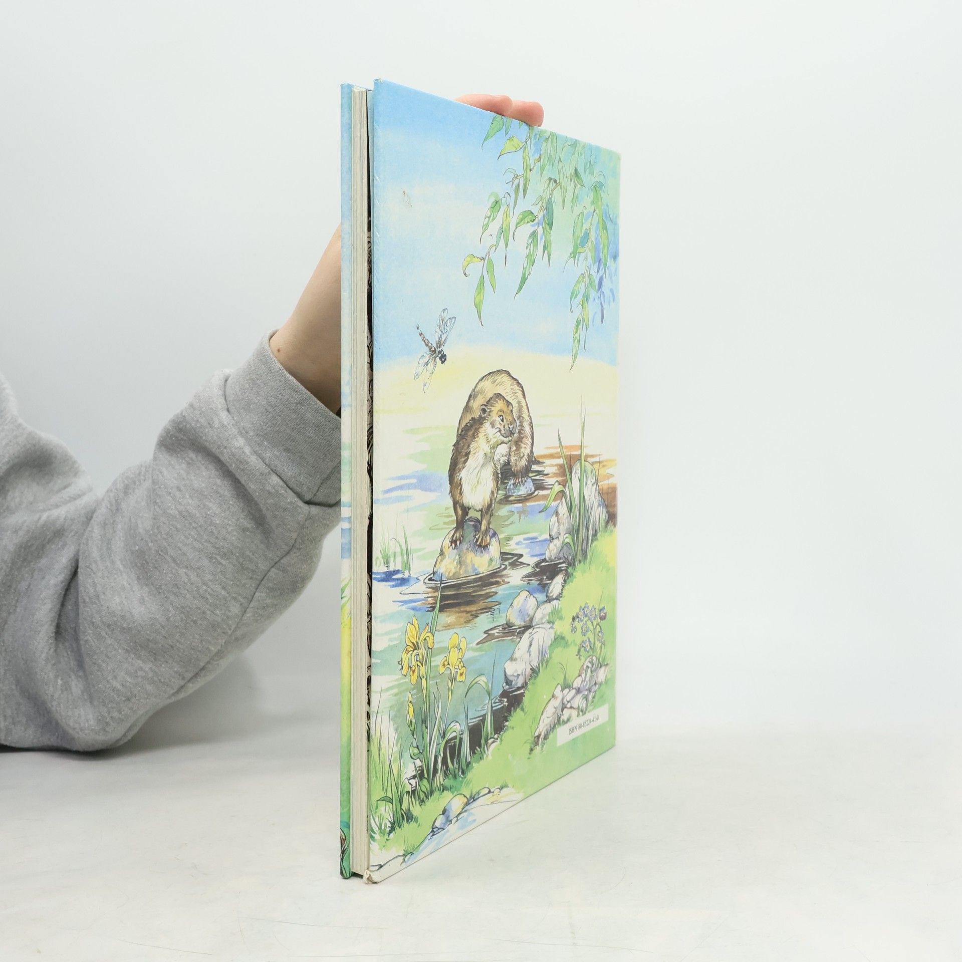 Kenneth Grahame Rozprávky spod vŕby