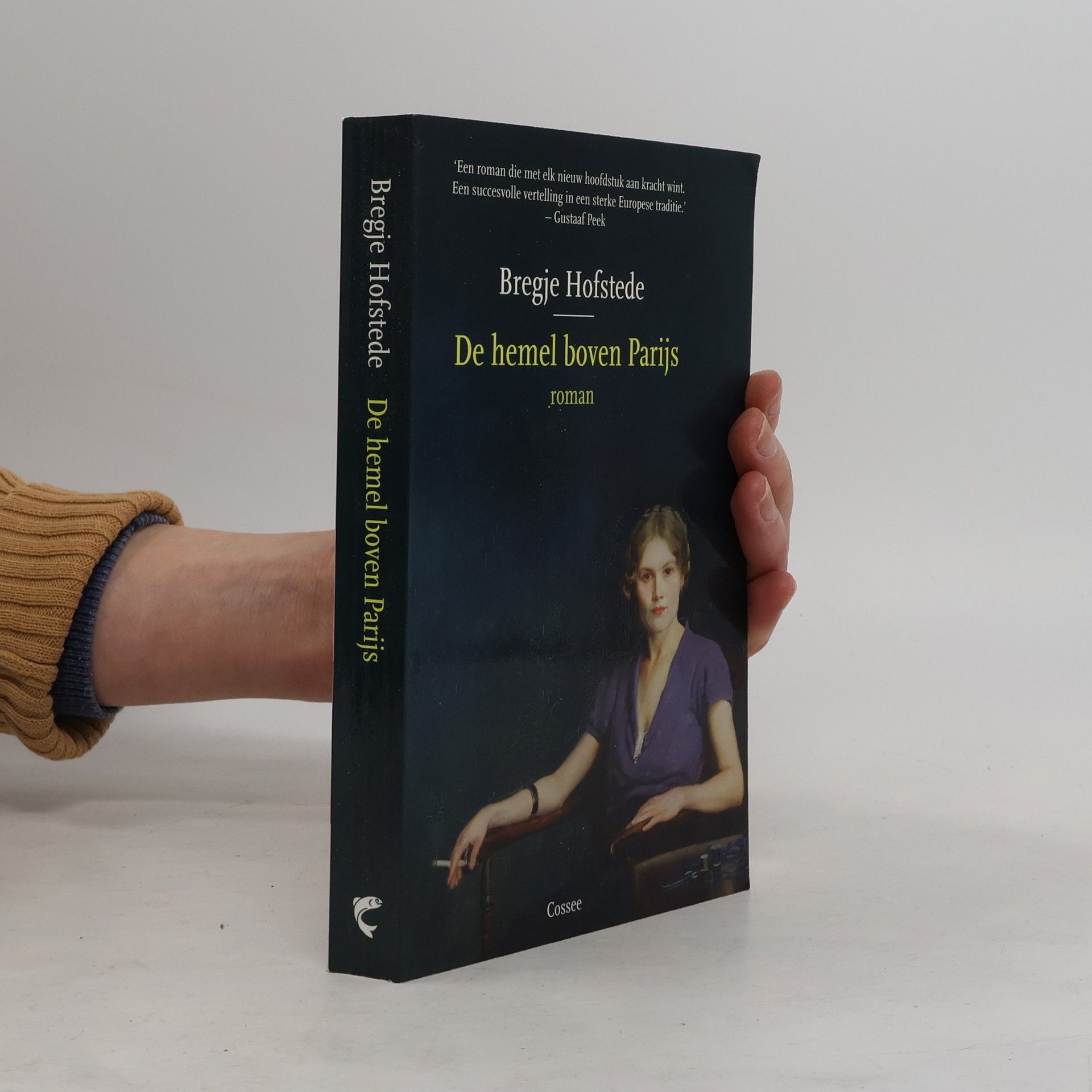 Bregje Hofstede De hemel boven Parijs - druk 1