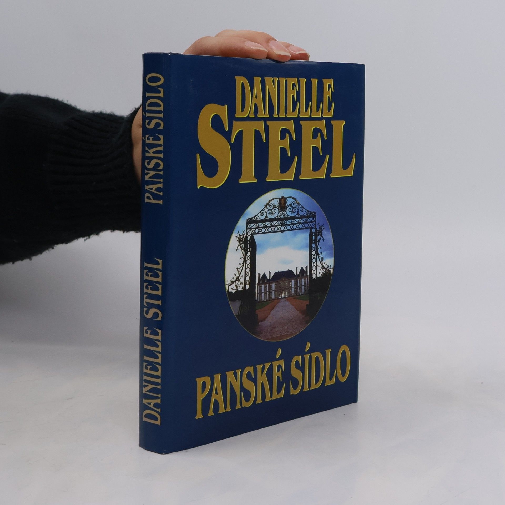 Danielle Steel Panské sídlo